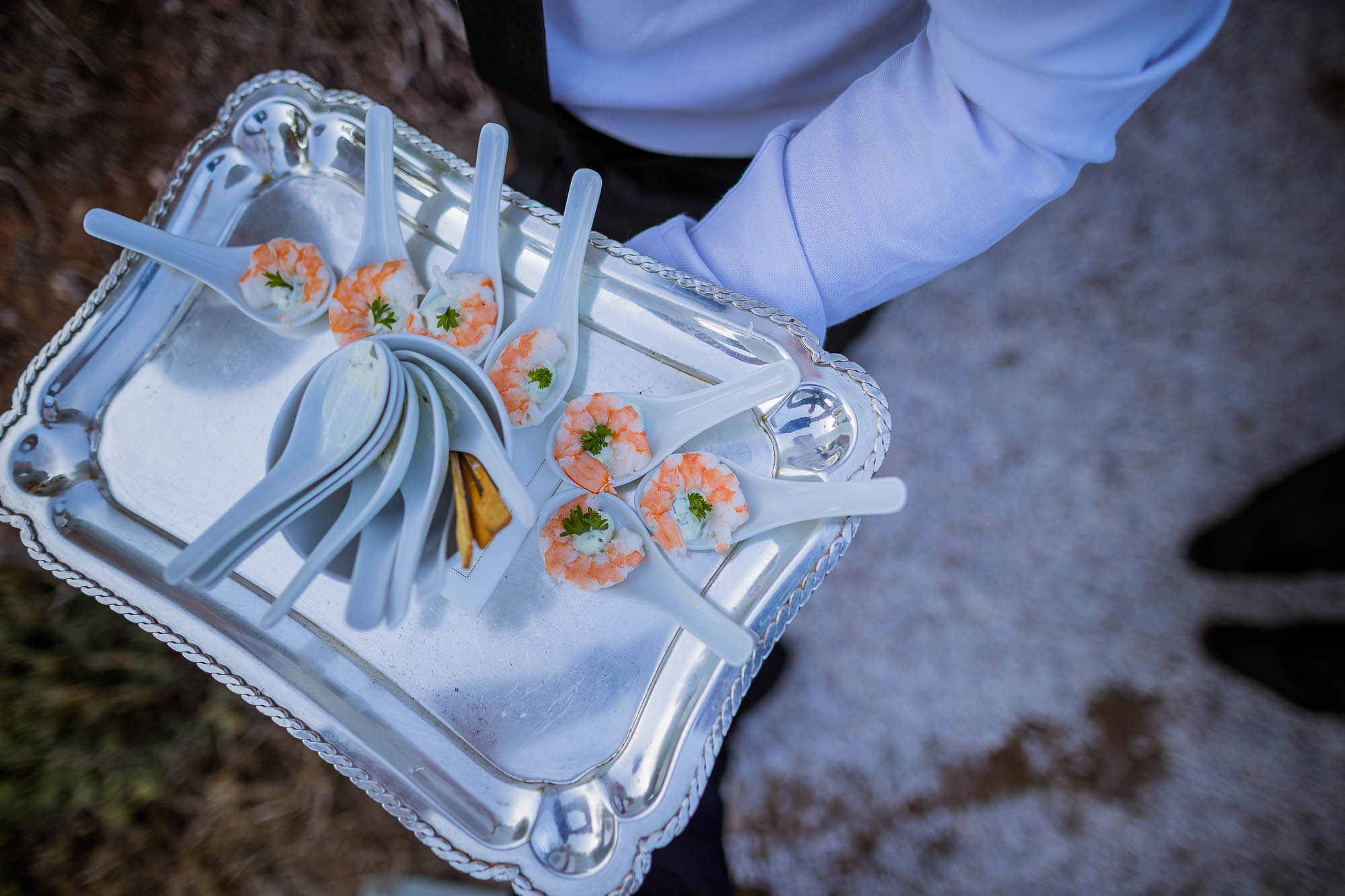 Export x3 1DX24035 Reportage