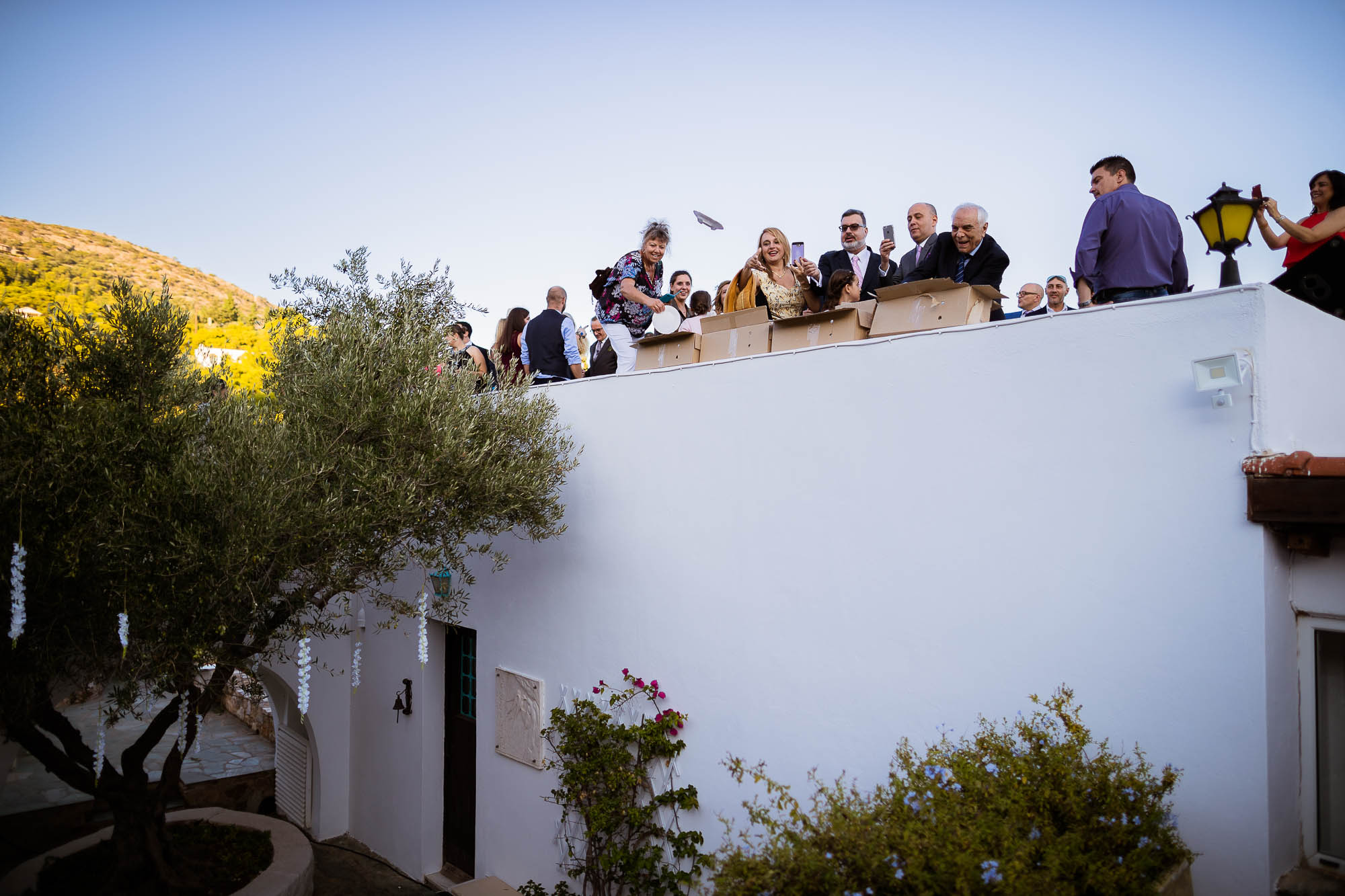 Export x3 1DX24101 Reportage