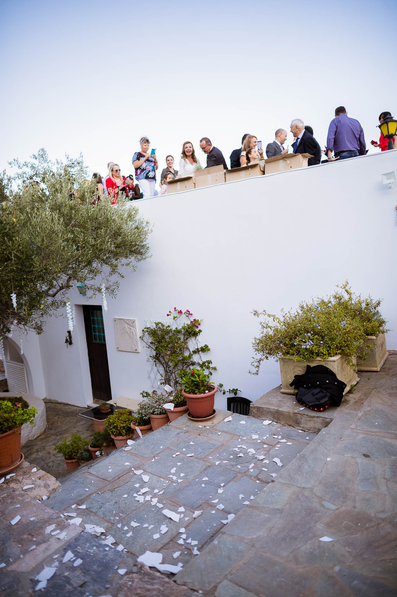 Export x3 1DX24108 Reportage