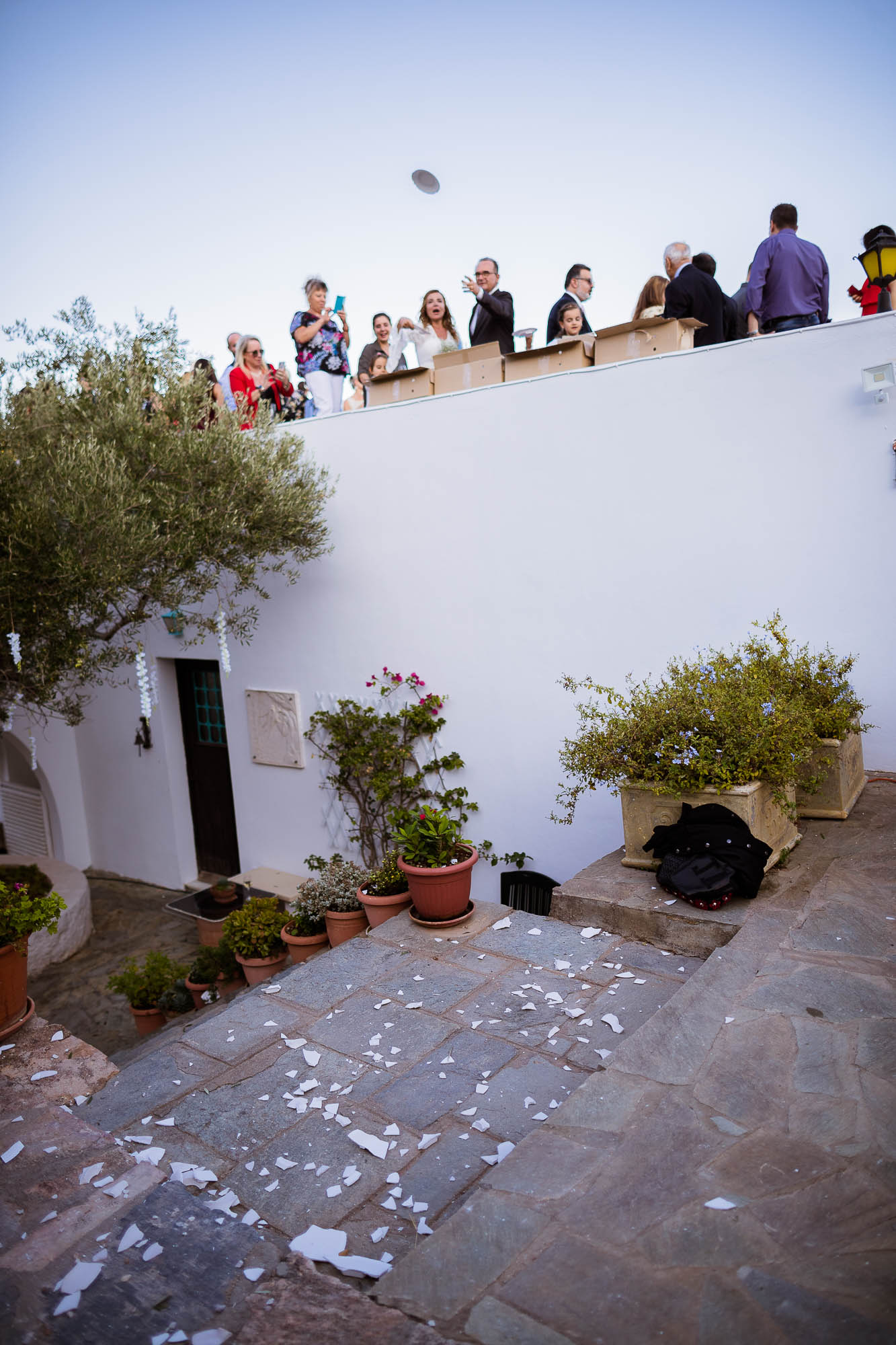 Export x3 1DX24110 Reportage