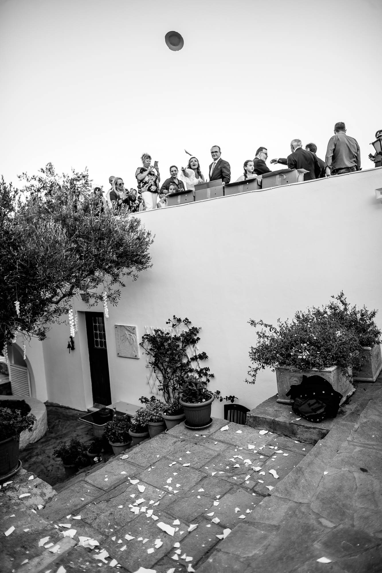 Export x3 1DX24111 Reportage