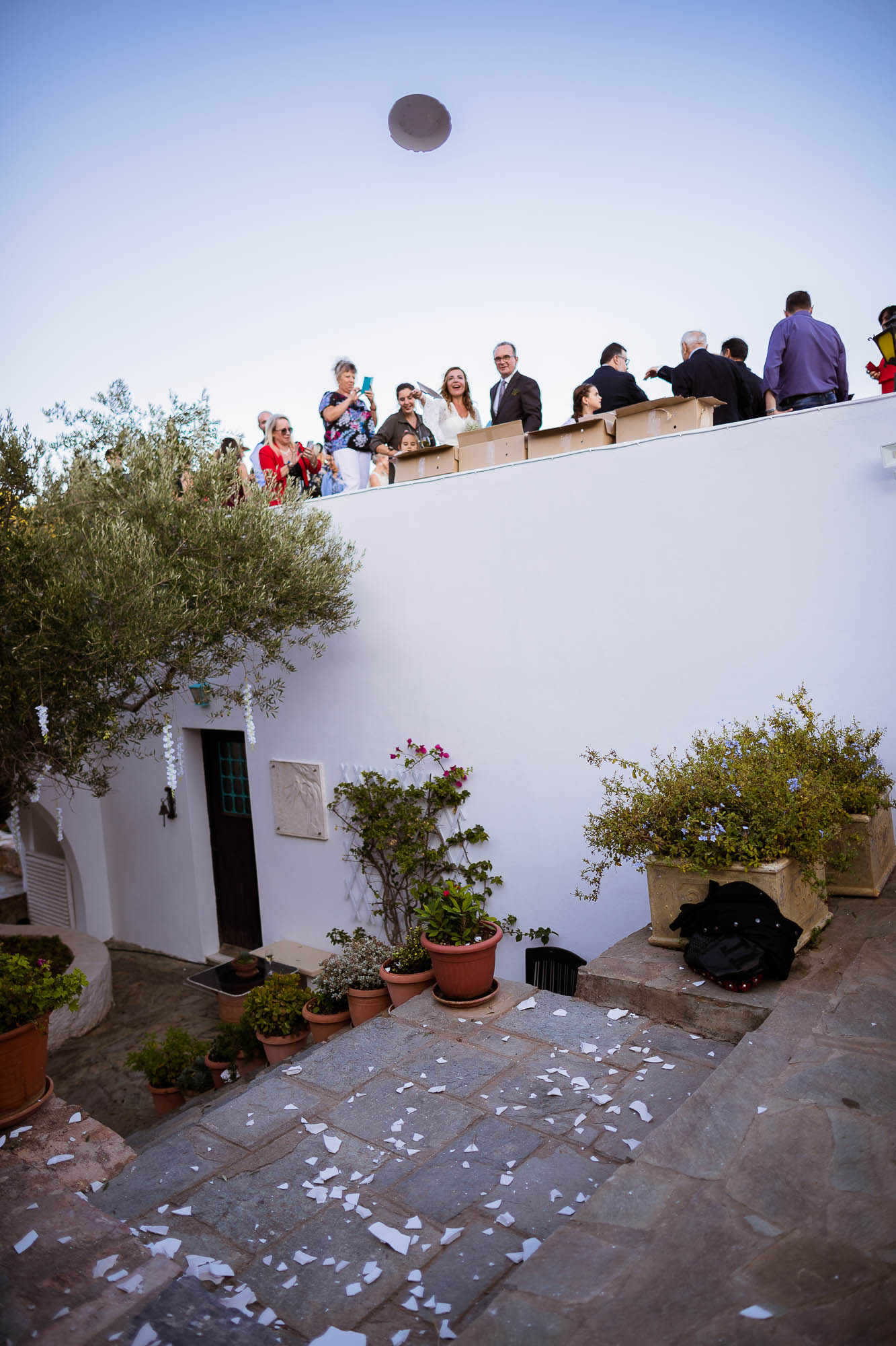 Export x3 1DX24112 Reportage