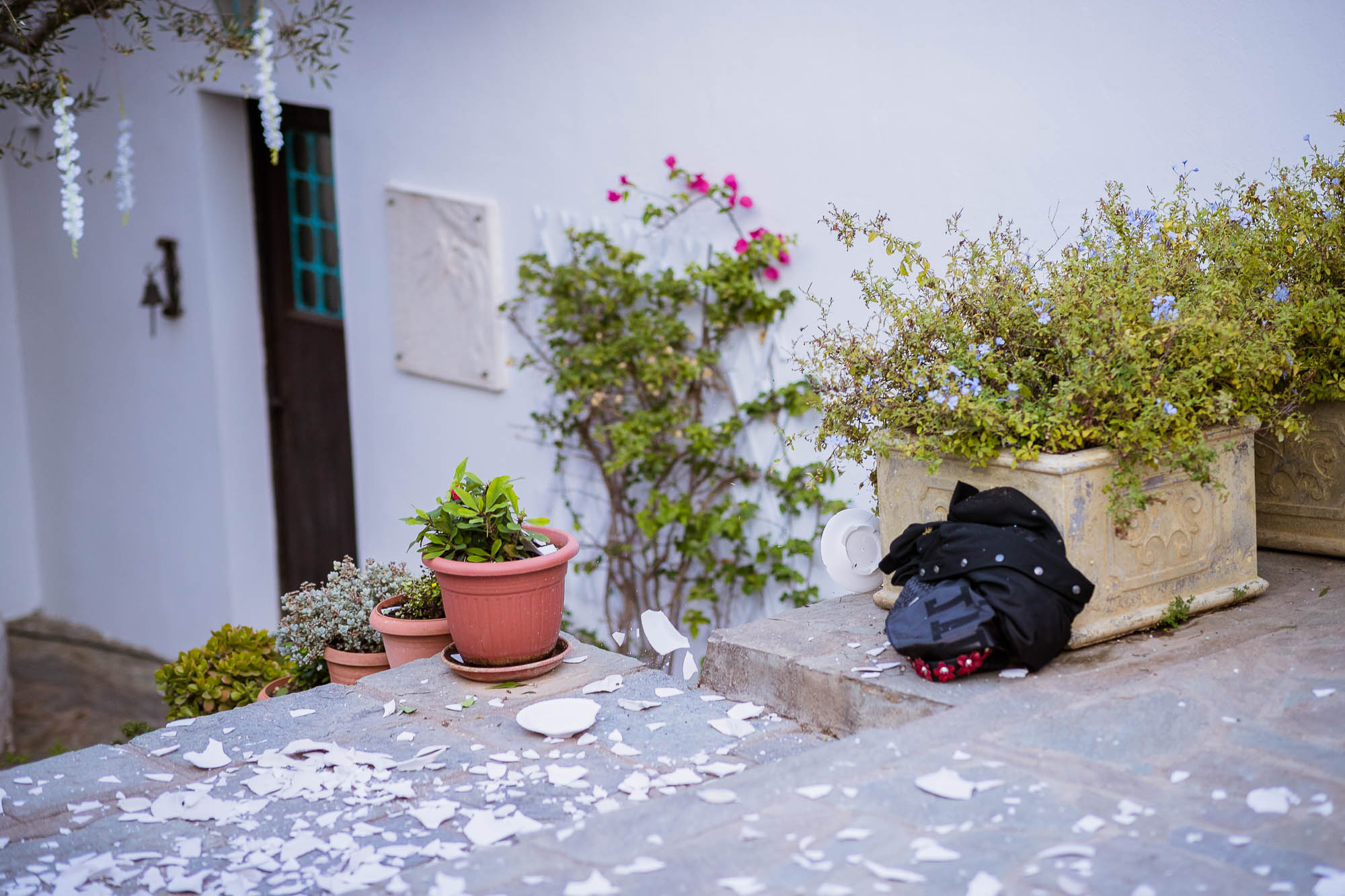 Export x3 1DX24173 Reportage