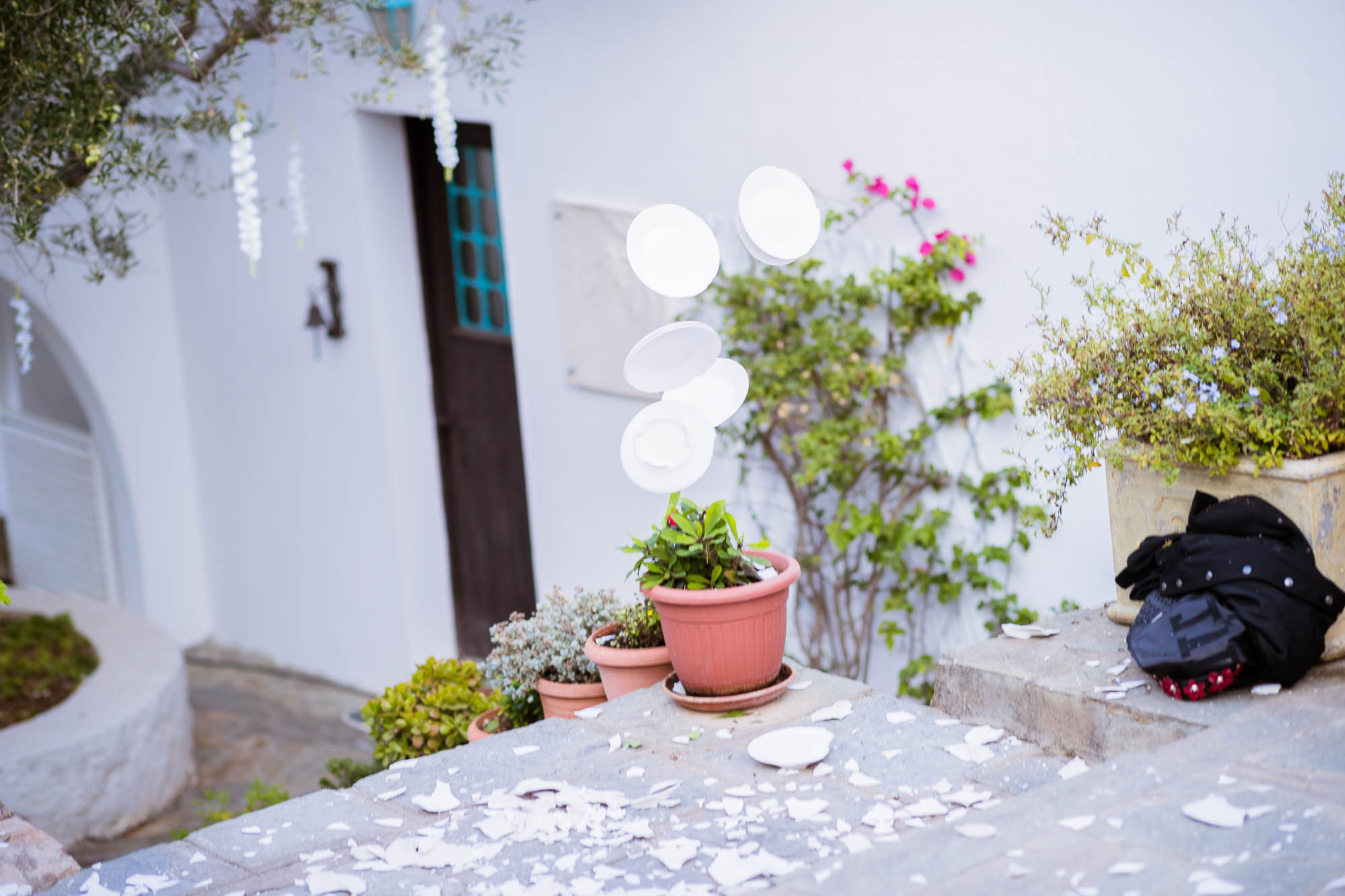 Export x3 1DX24189 Reportage