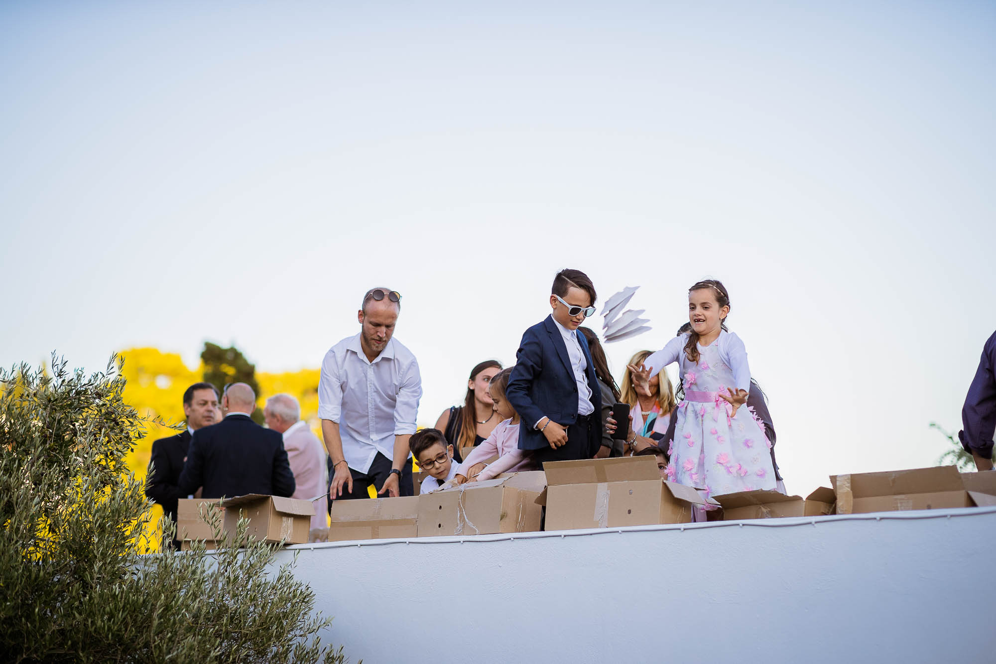 Export x3 1DX24259 Reportage