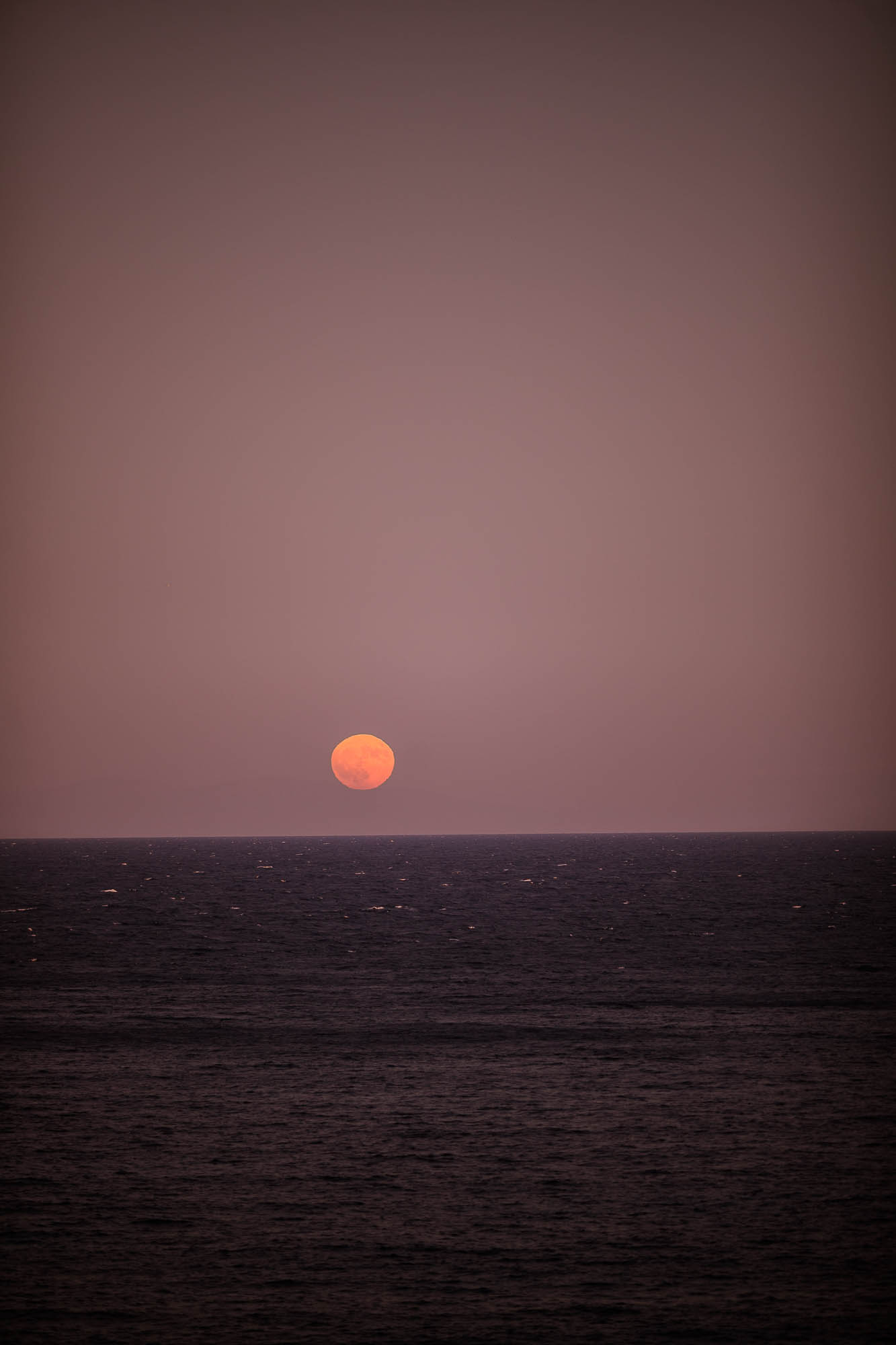 Export x3 1DX24456 Reportage