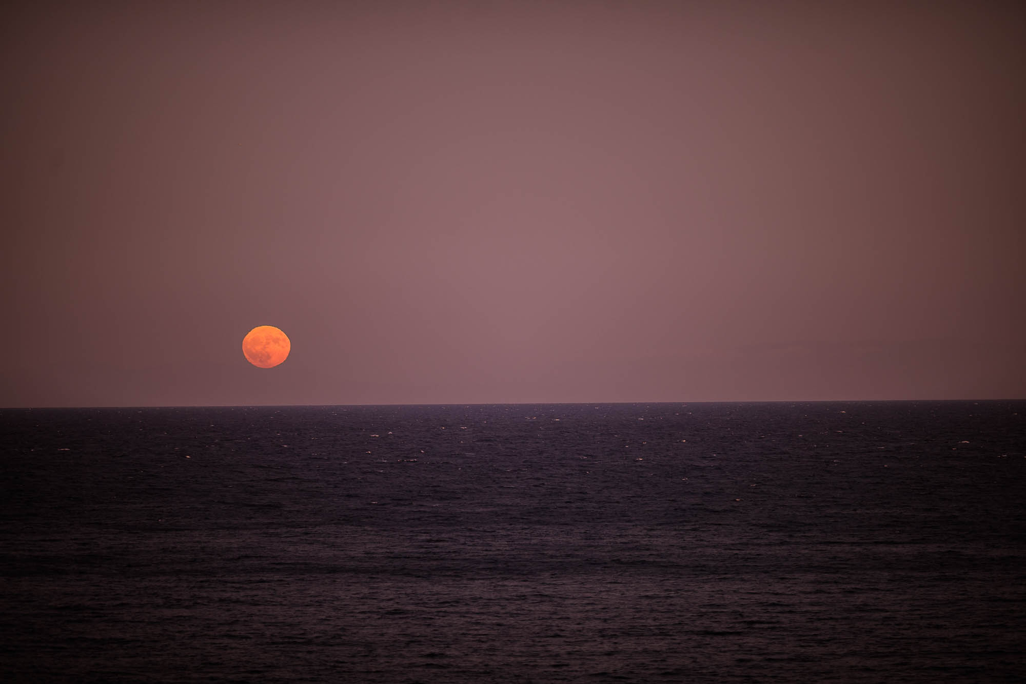 Export x3 1DX24457 Reportage