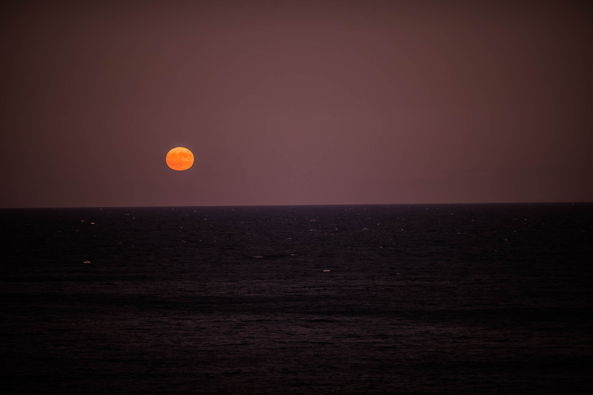 Export x3 1DX24463 Reportage