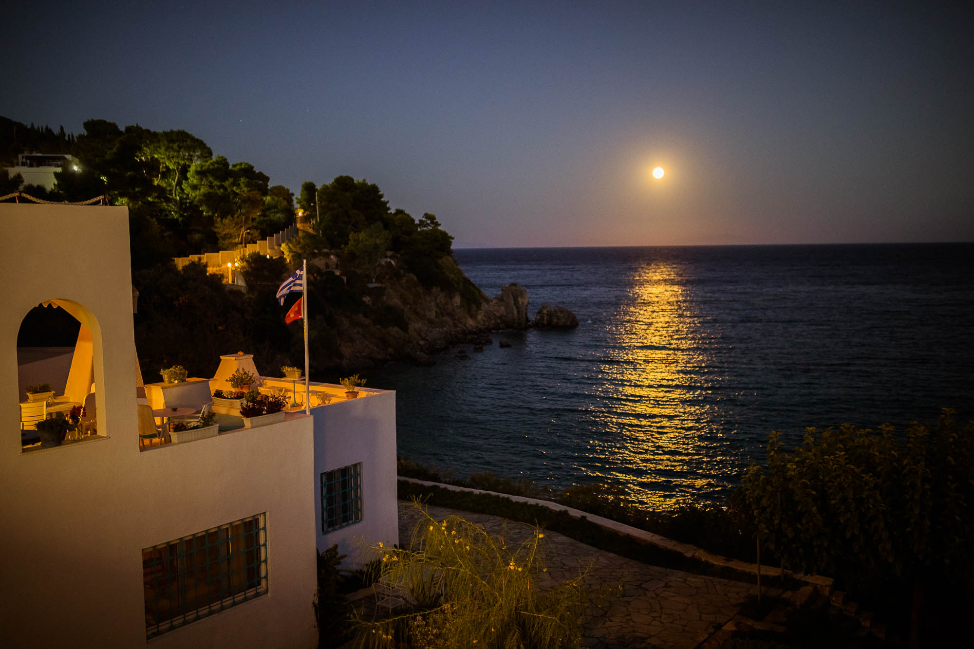 Export x3 1DX24516 Reportage