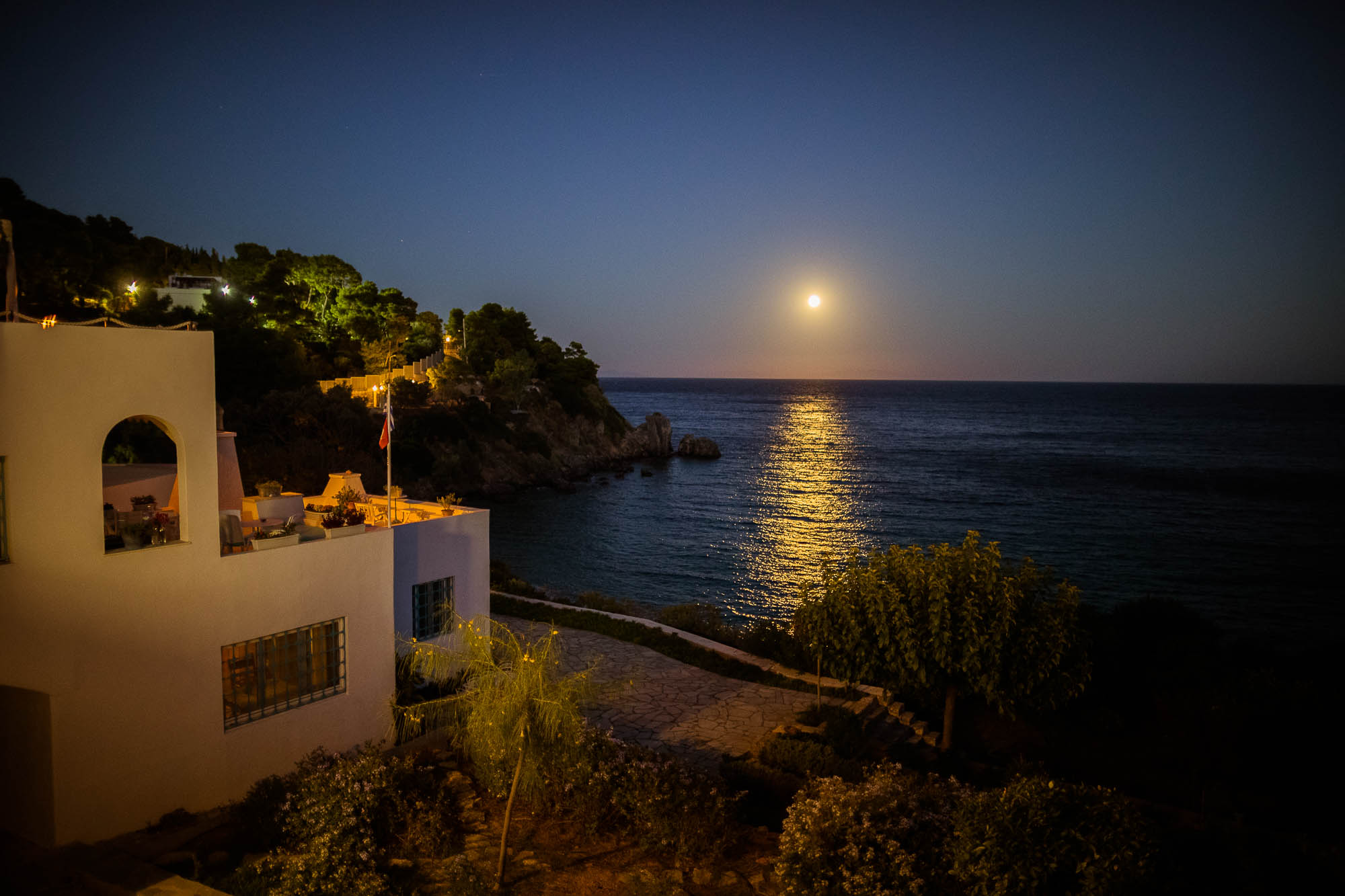 Export x3 1DX24519 Reportage