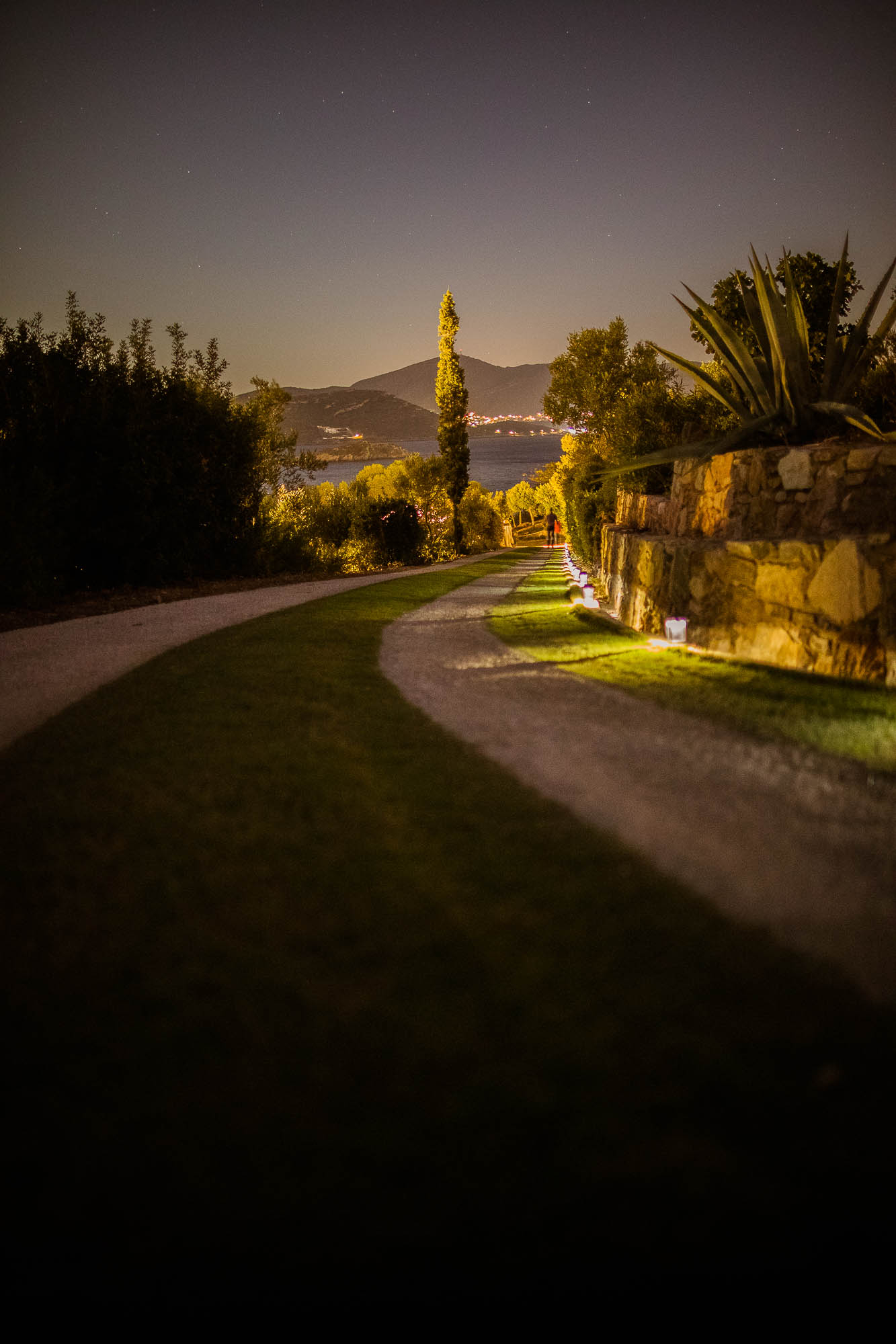 Export x3 1DX24561 Reportage