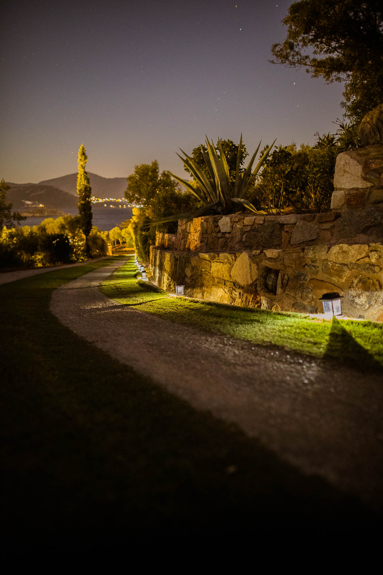 Export x3 1DX24564 Reportage