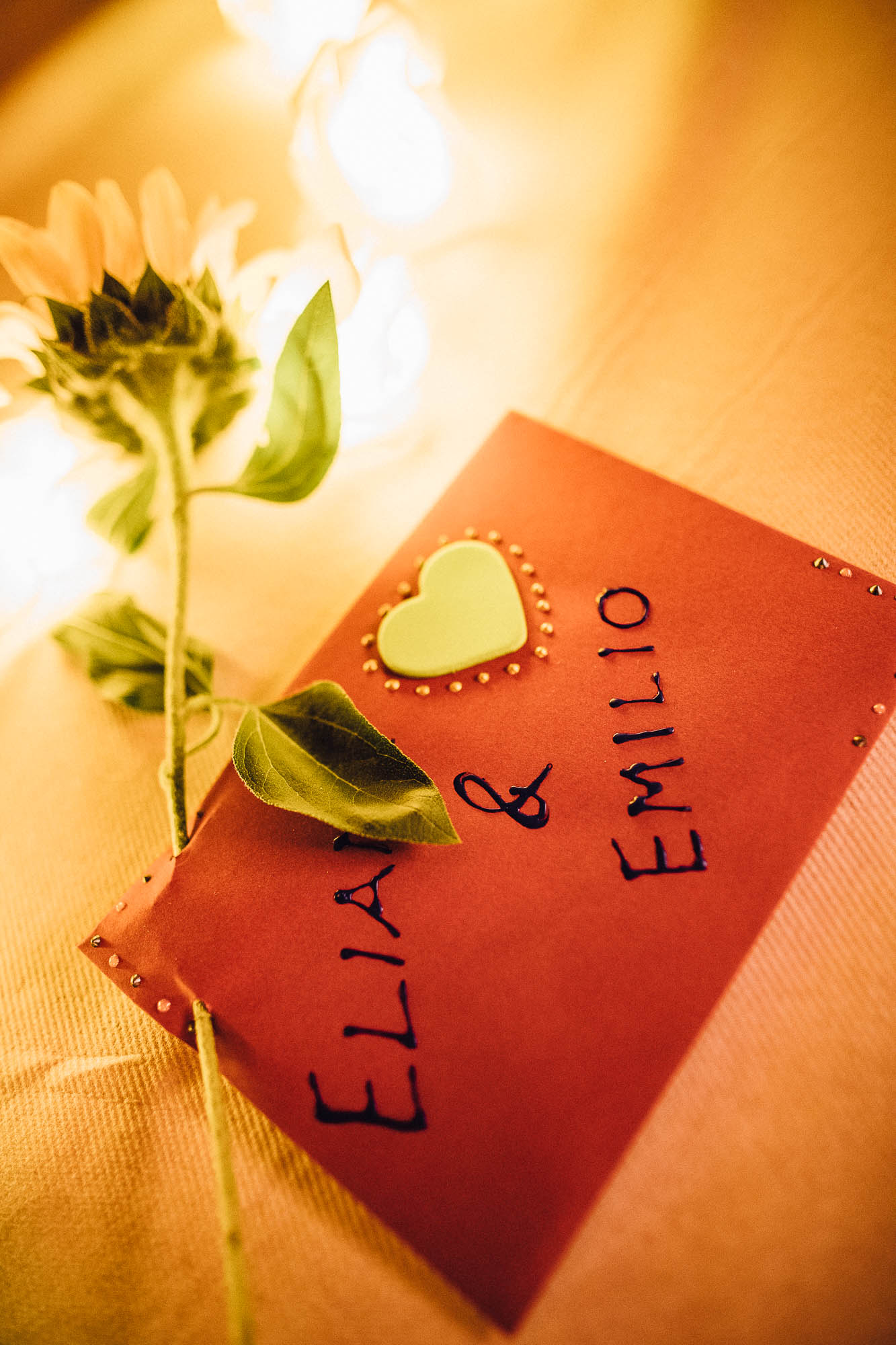 Export x3 1DX20804 Reportage