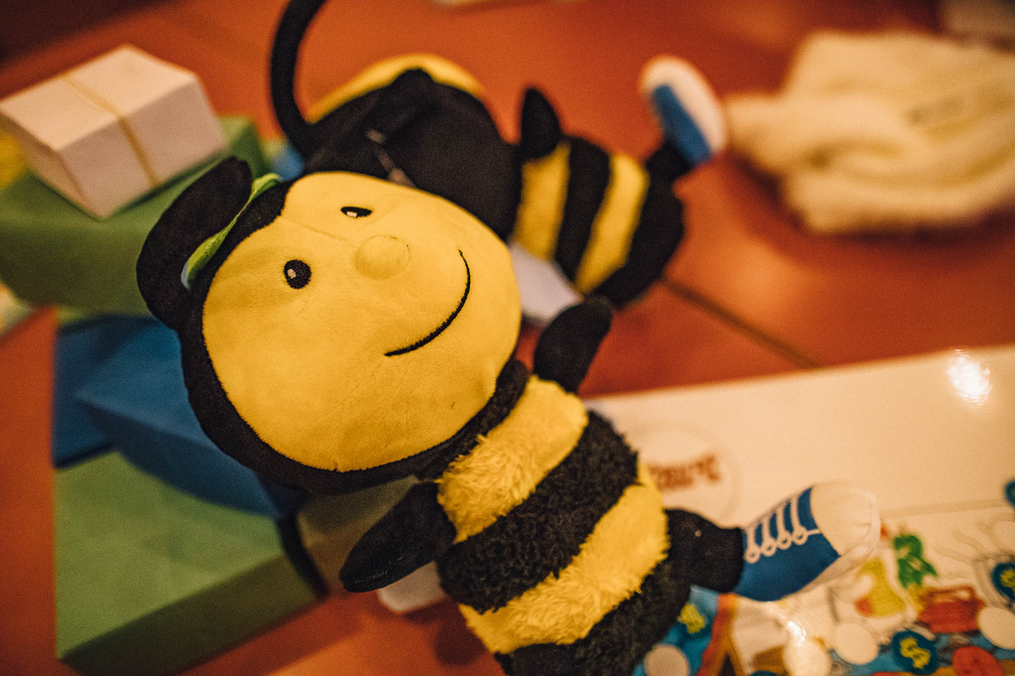 Export x3 1DX20849 Reportage