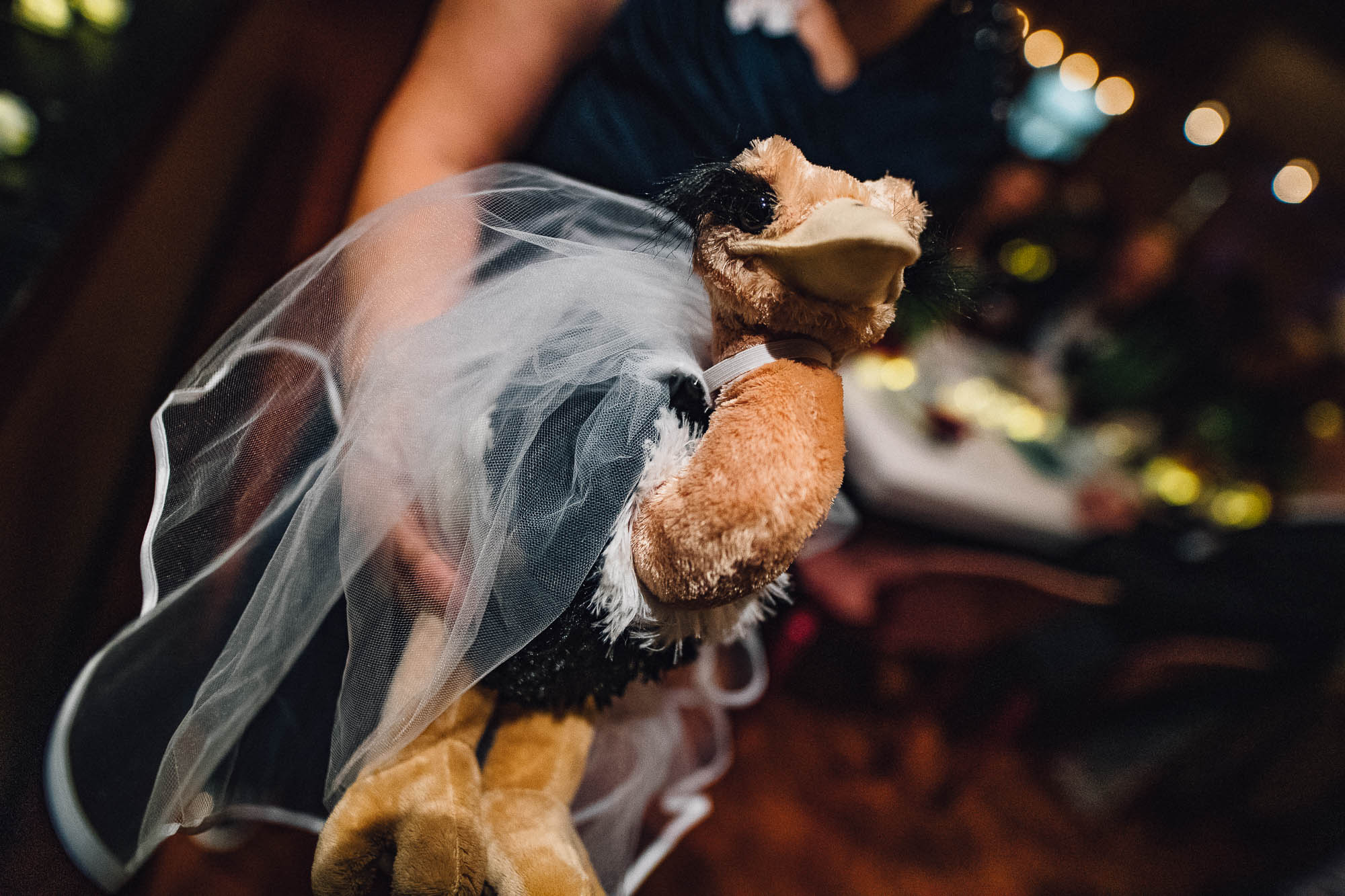 Export x3 1DX21205 Reportage