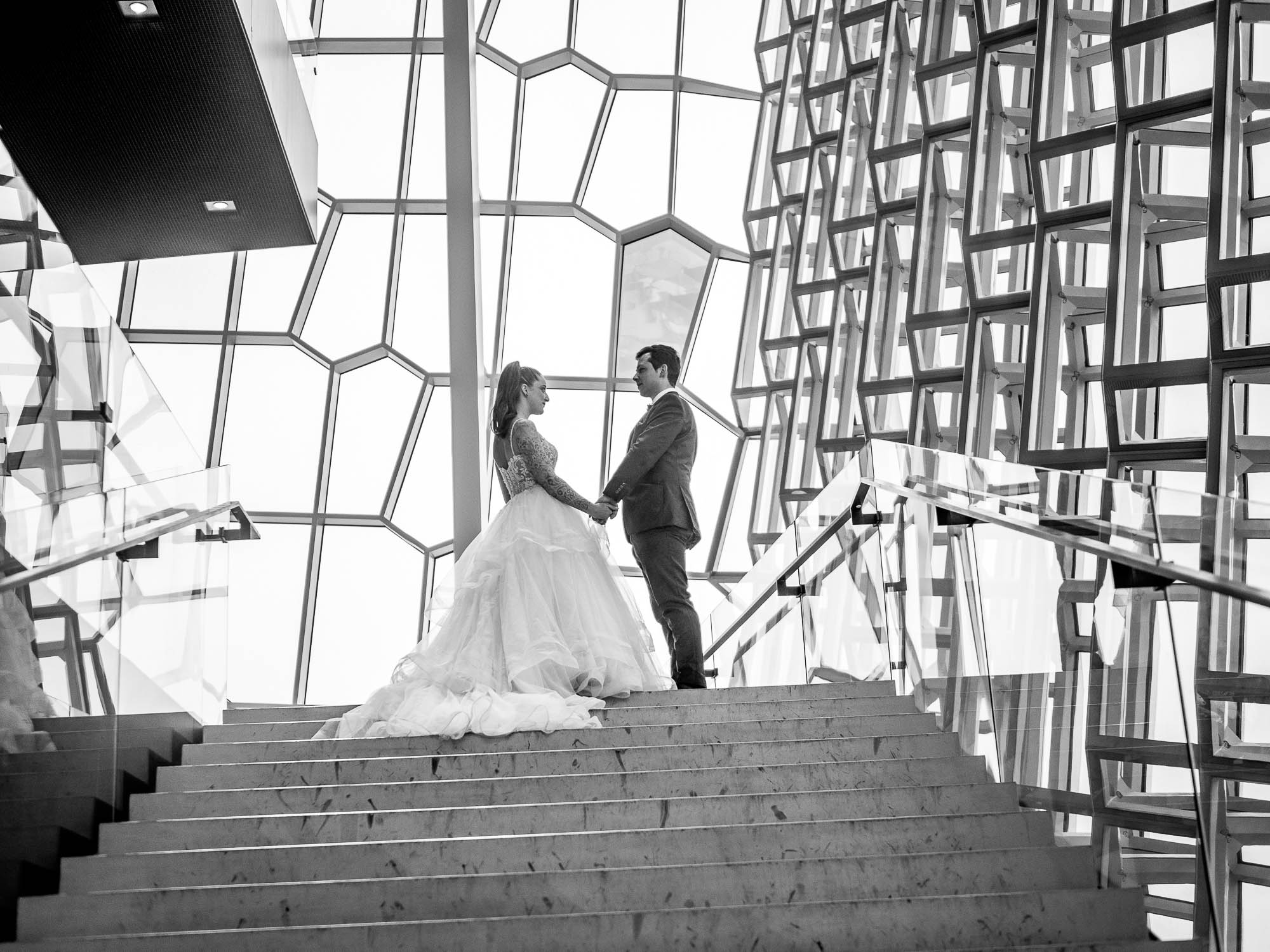 Export x3 P1010033 RAW 2