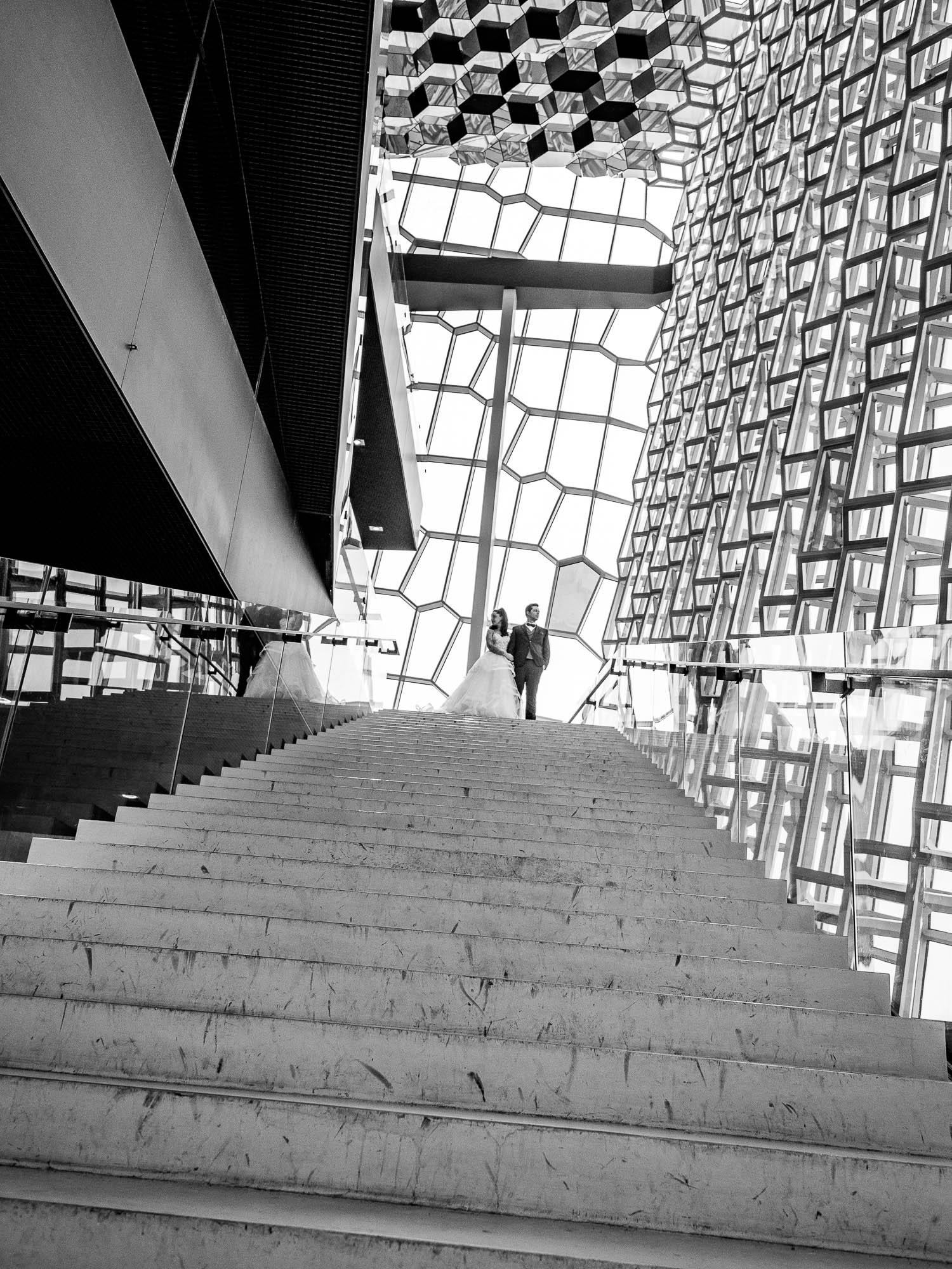 Export x3 P1010076 RAW 2