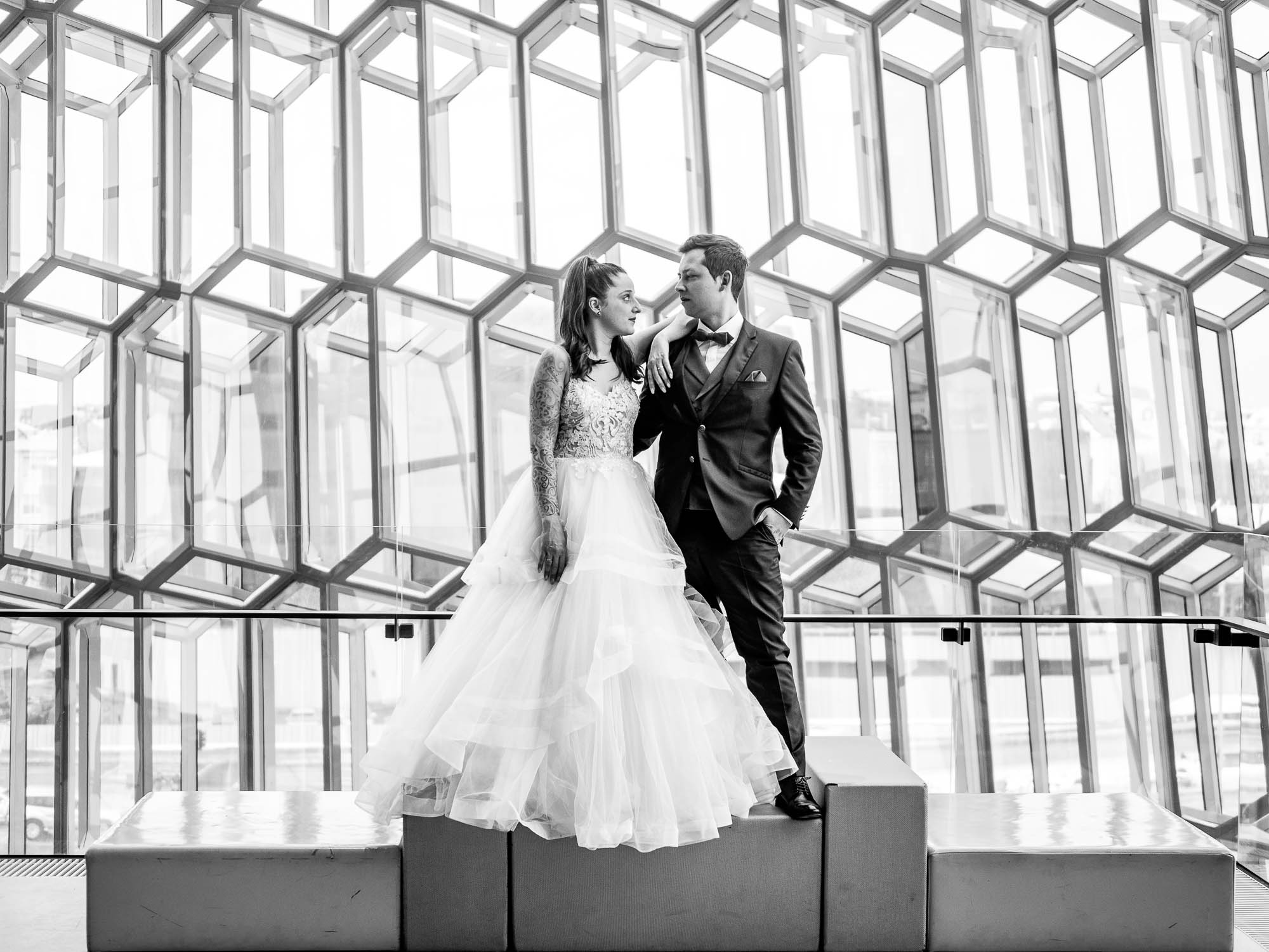 Export x3 P1010235 RAW 2