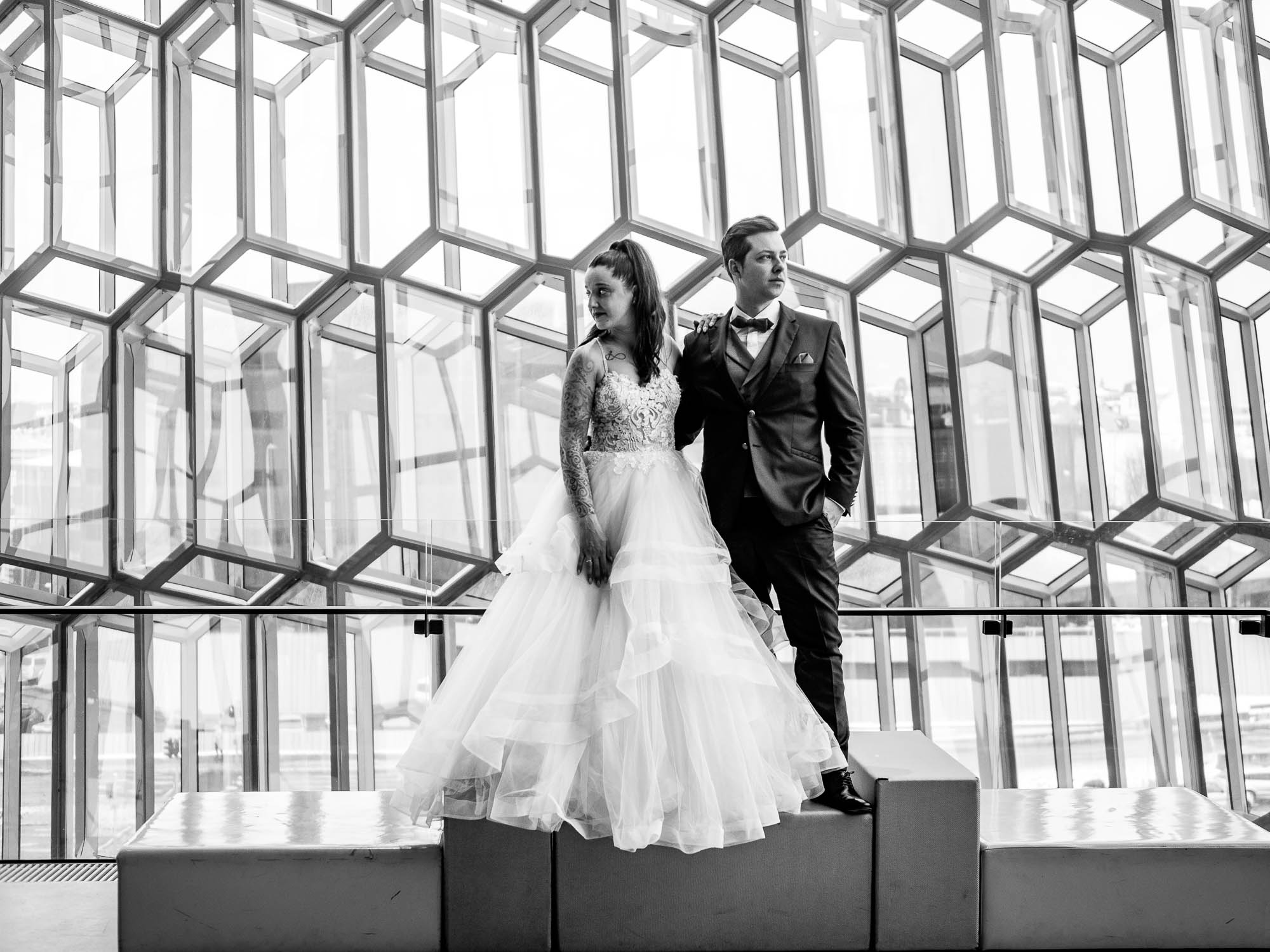 Export x3 P1010242 RAW 2