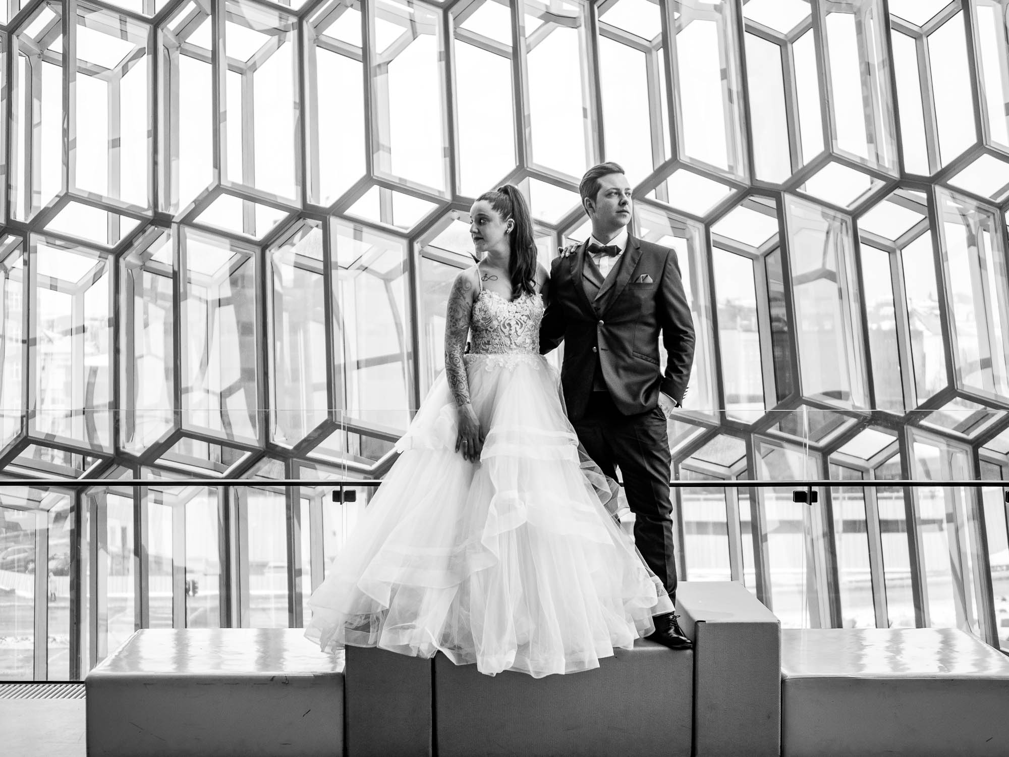 Export x3 P1010244 RAW 2