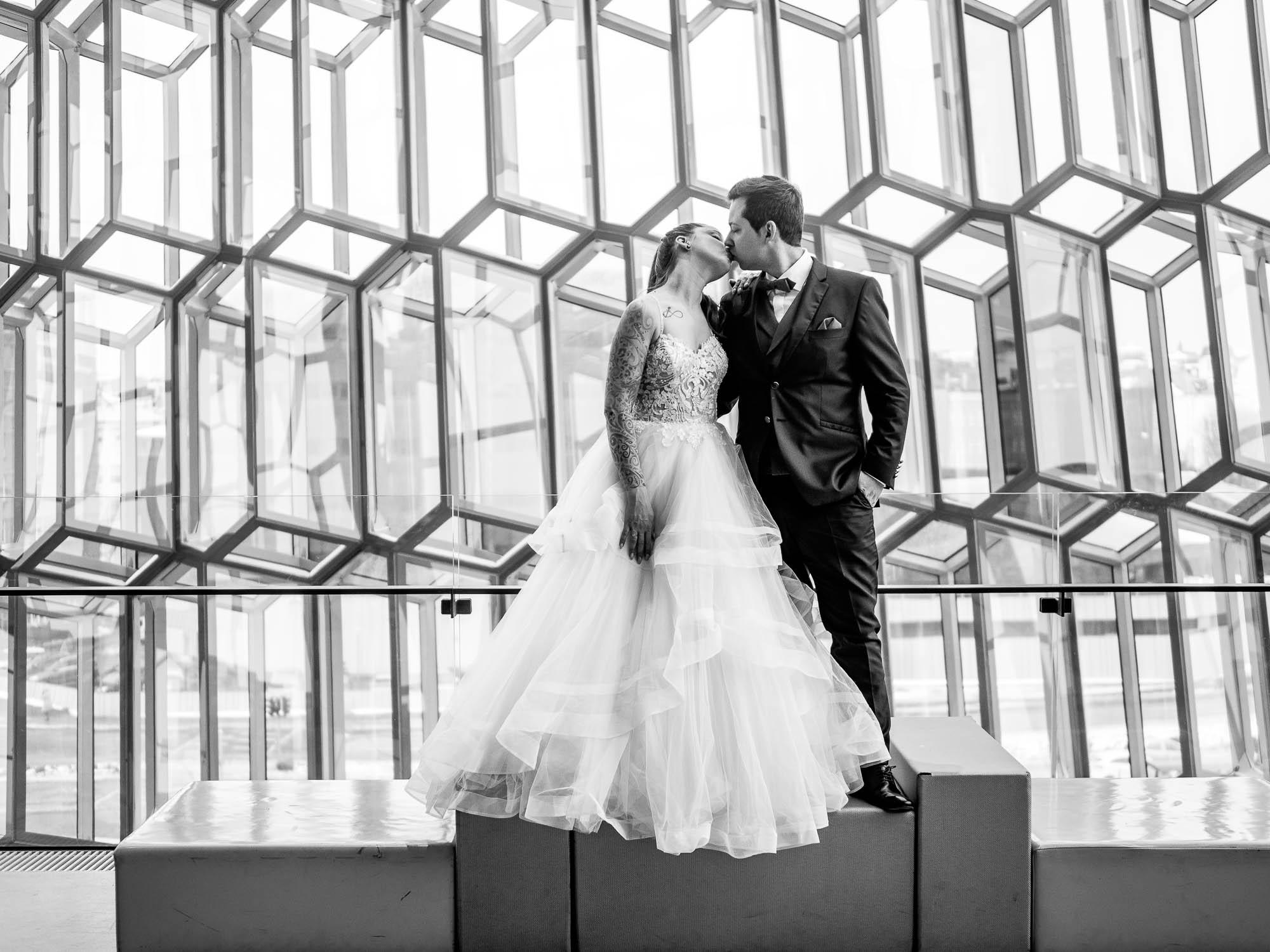 Export x3 P1010246 RAW 2