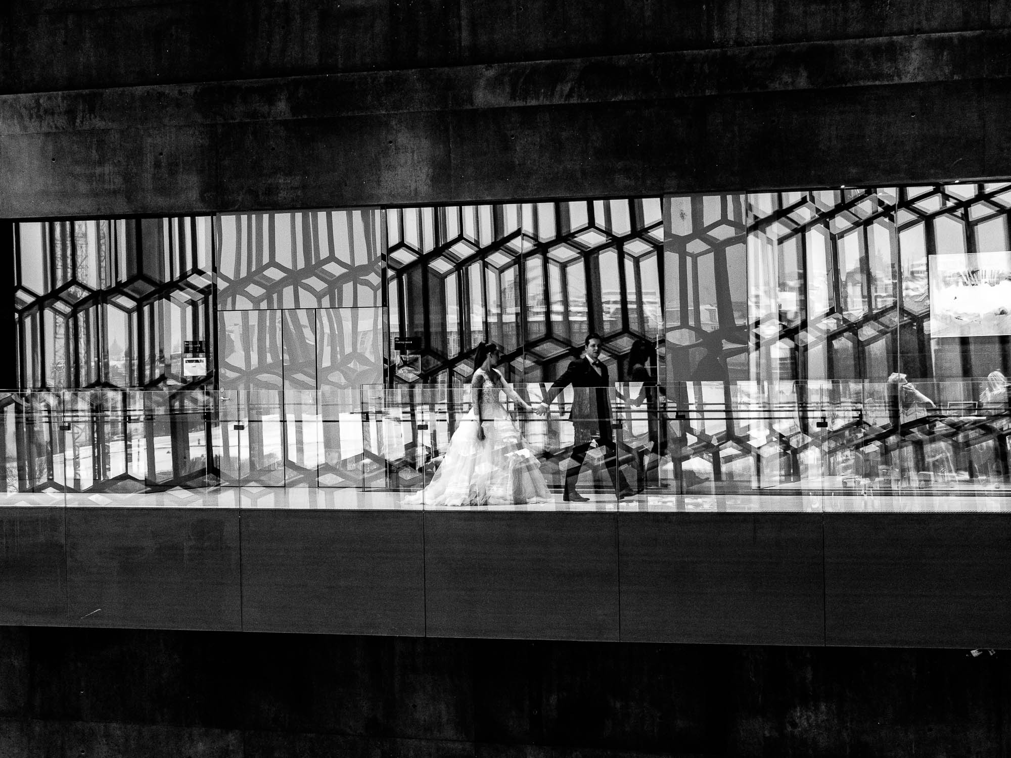 Export x3 P1010262 RAW 2