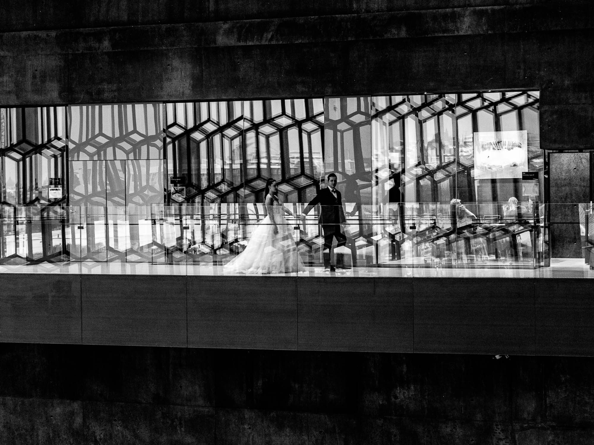 Export x3 P1010264 RAW 2