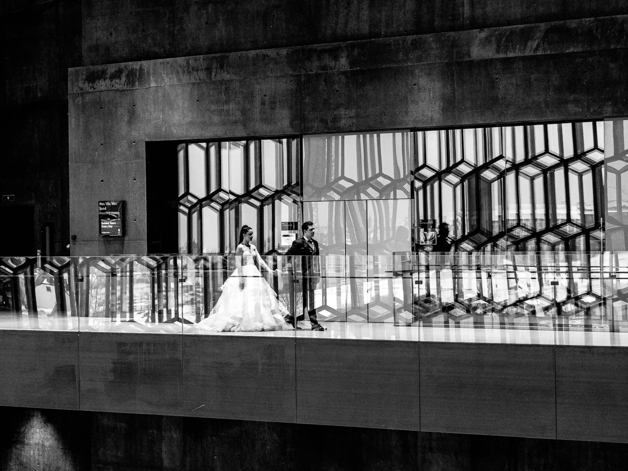 Export x3 P1010284 RAW 2