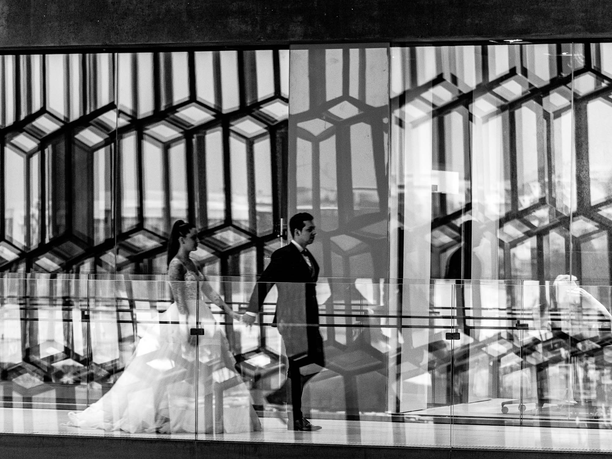 Export x3 P1010288 RAW 2