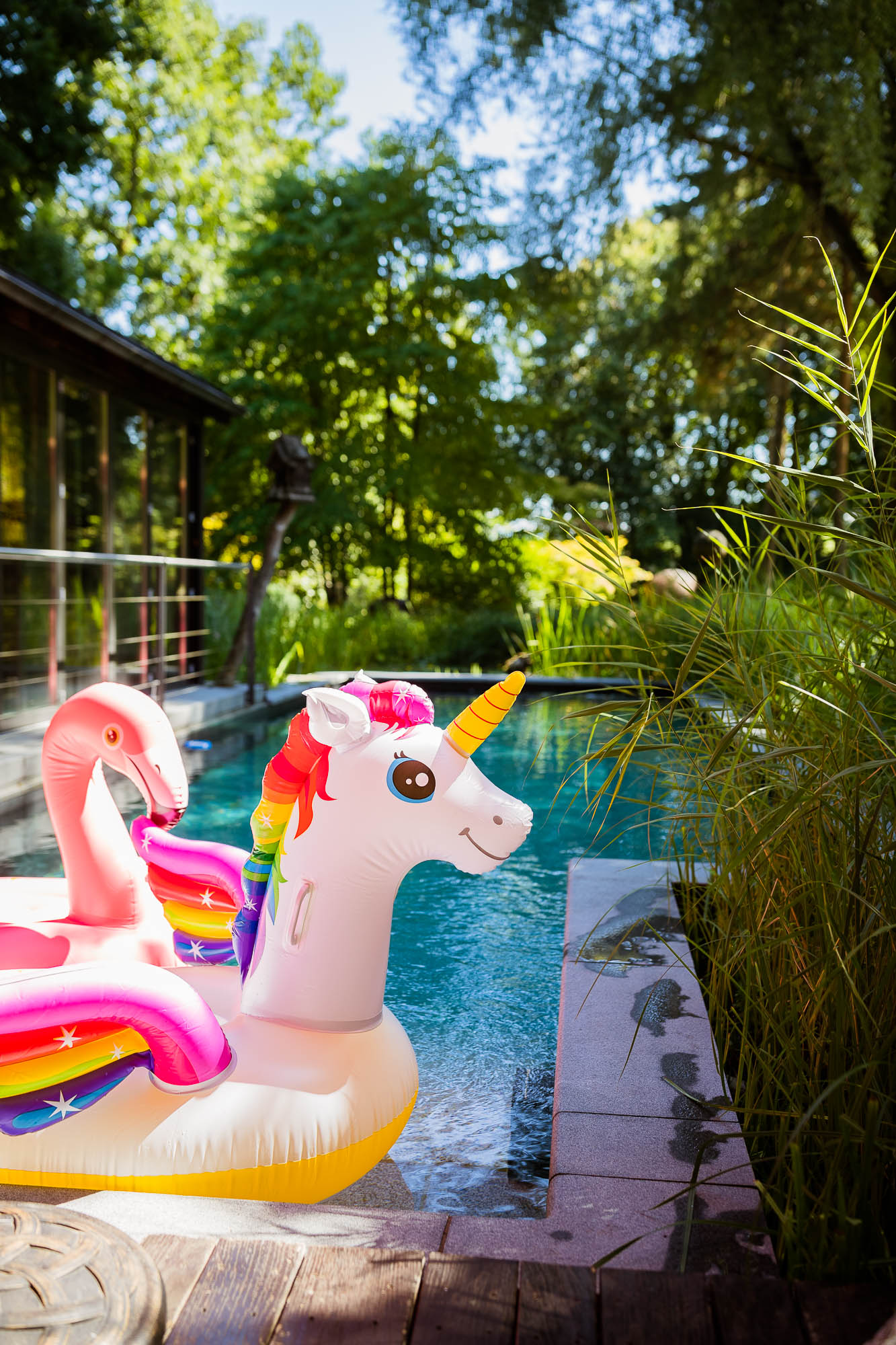 Export x3 1DX20087 Party