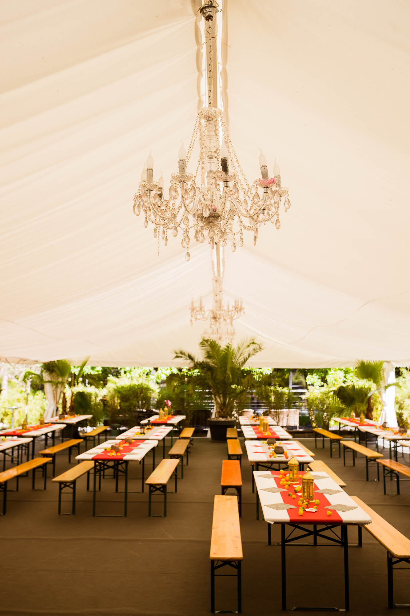 Export x3 1DX20127 Party