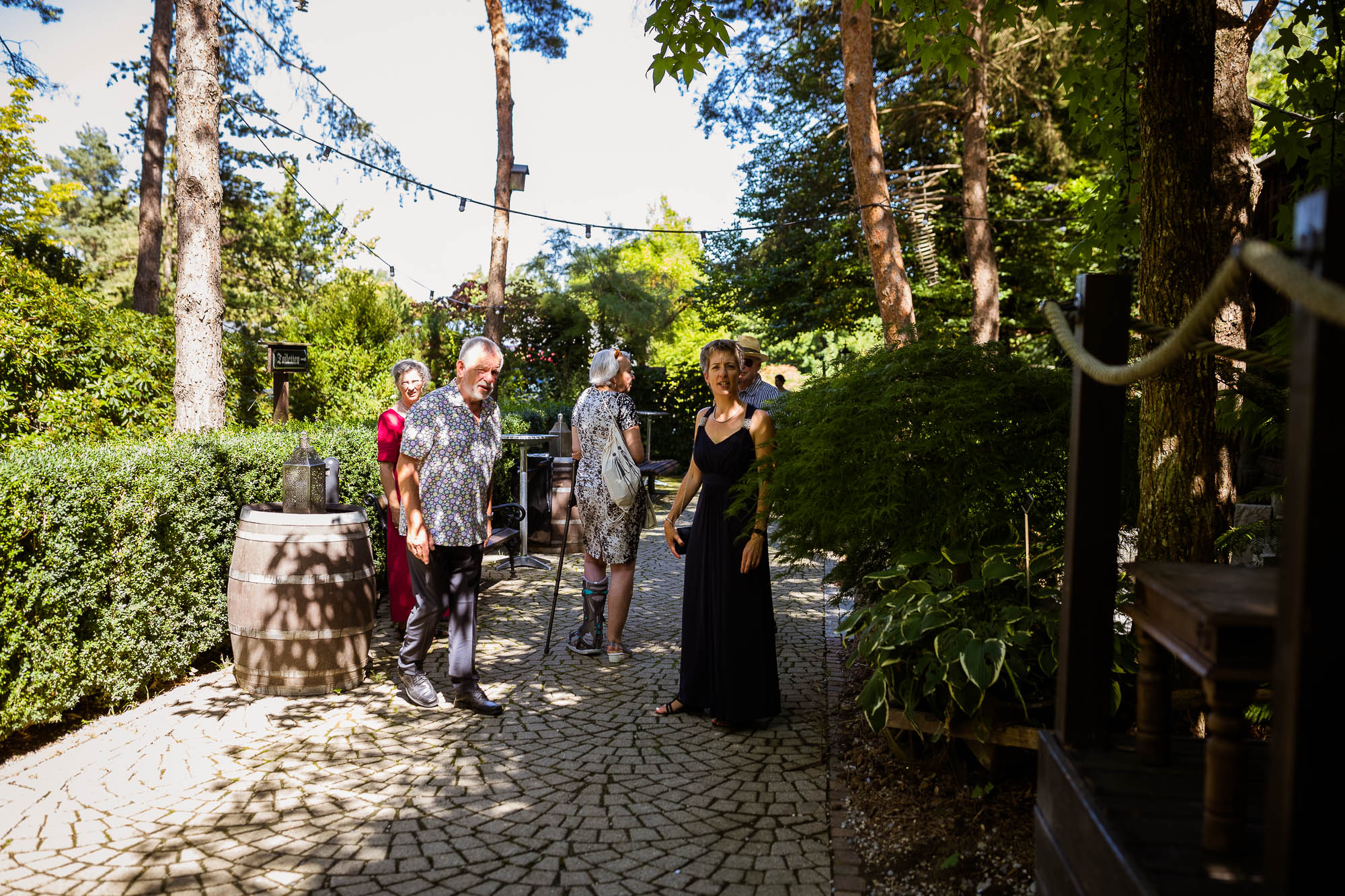 Export x3 1DX20129 Party