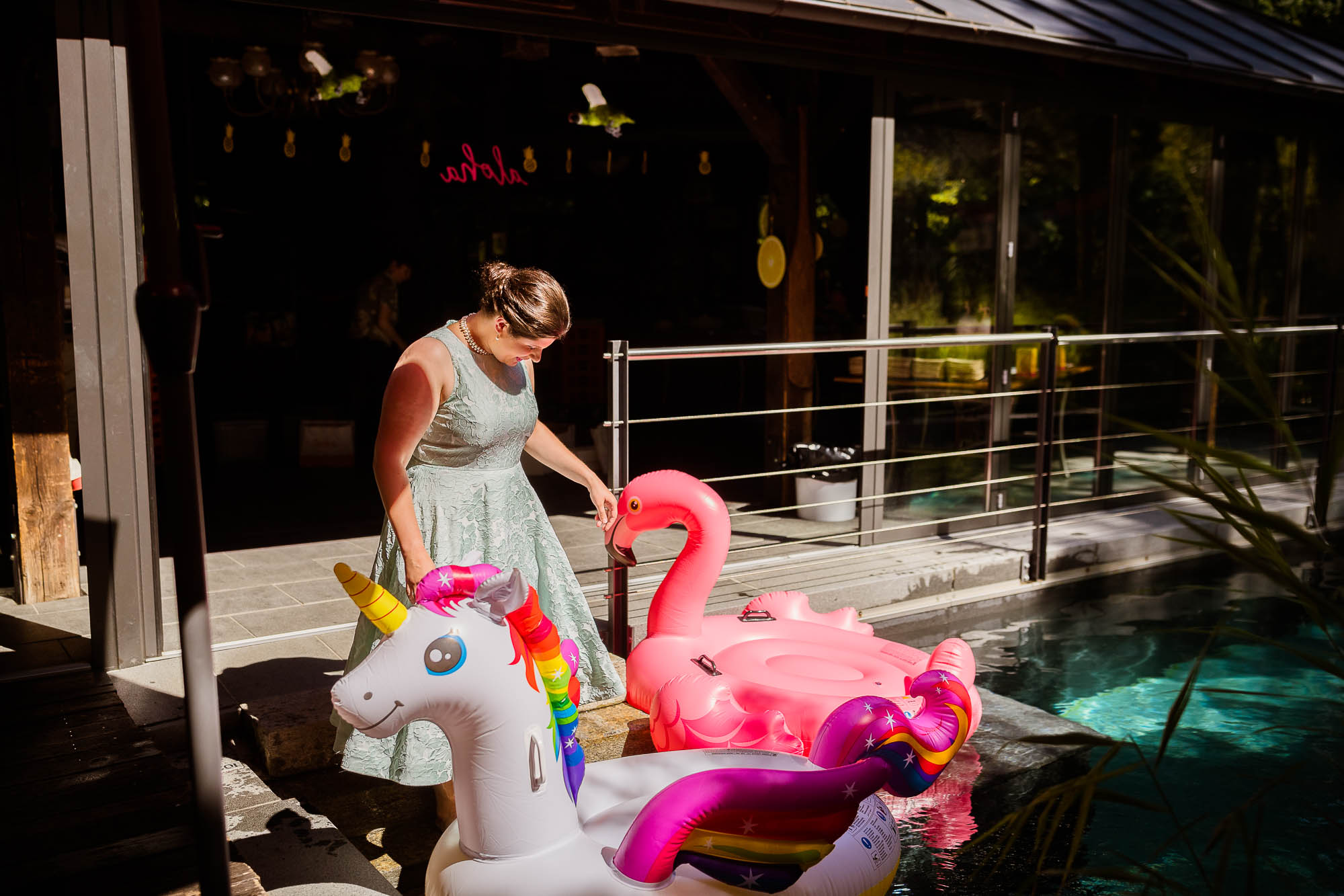 Export x3 1DX20138 Party