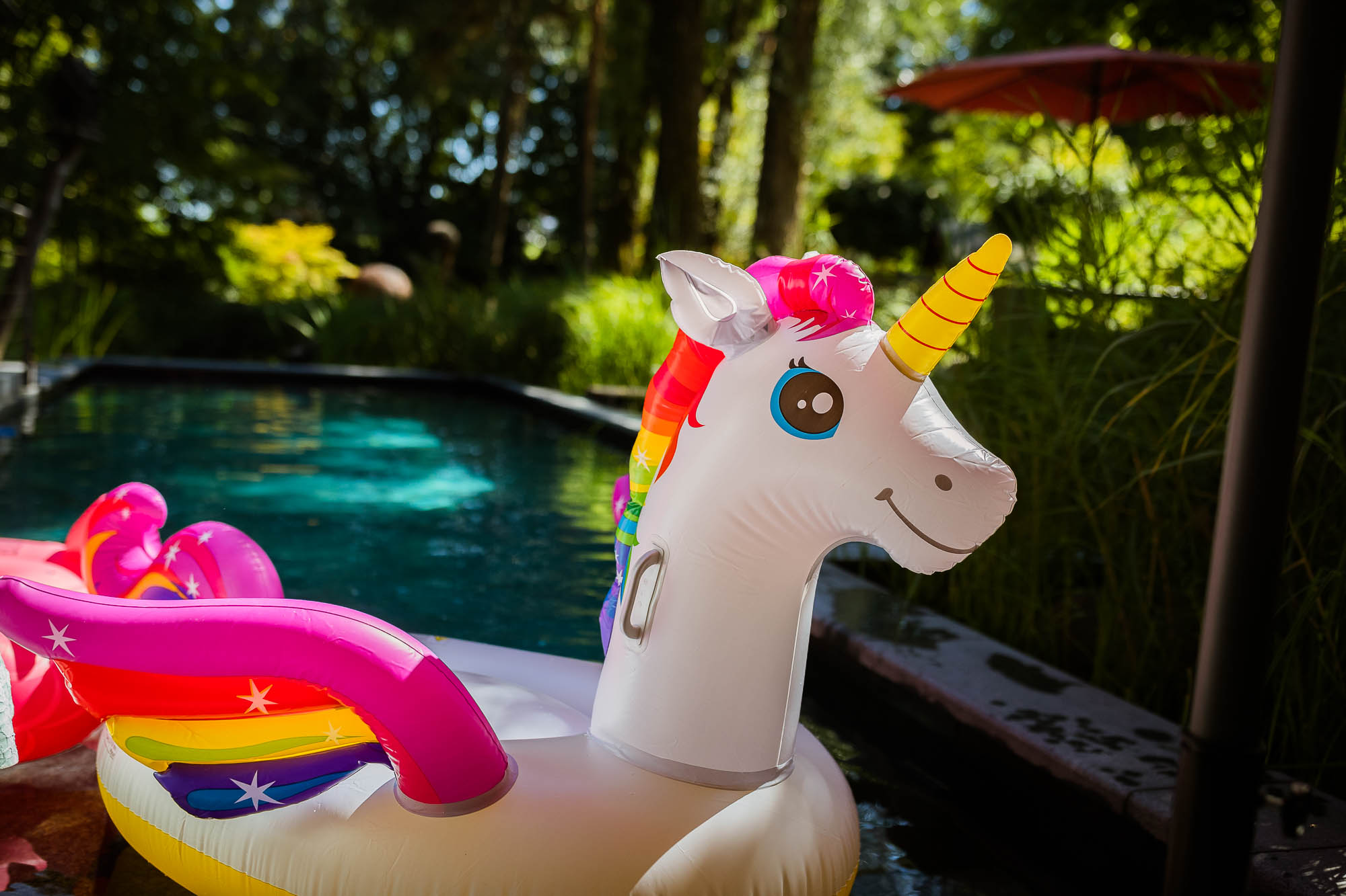 Export x3 1DX20140 Party