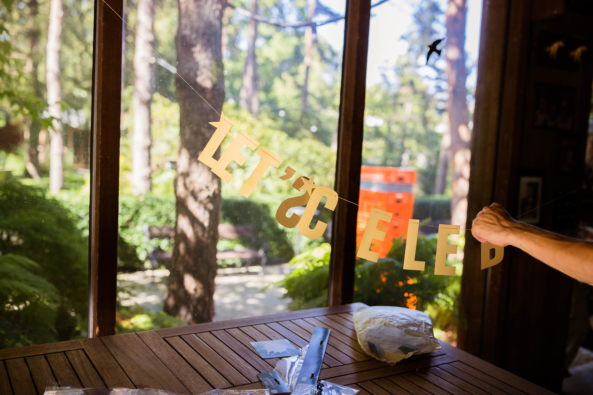 Export x3 1DX20147 Party