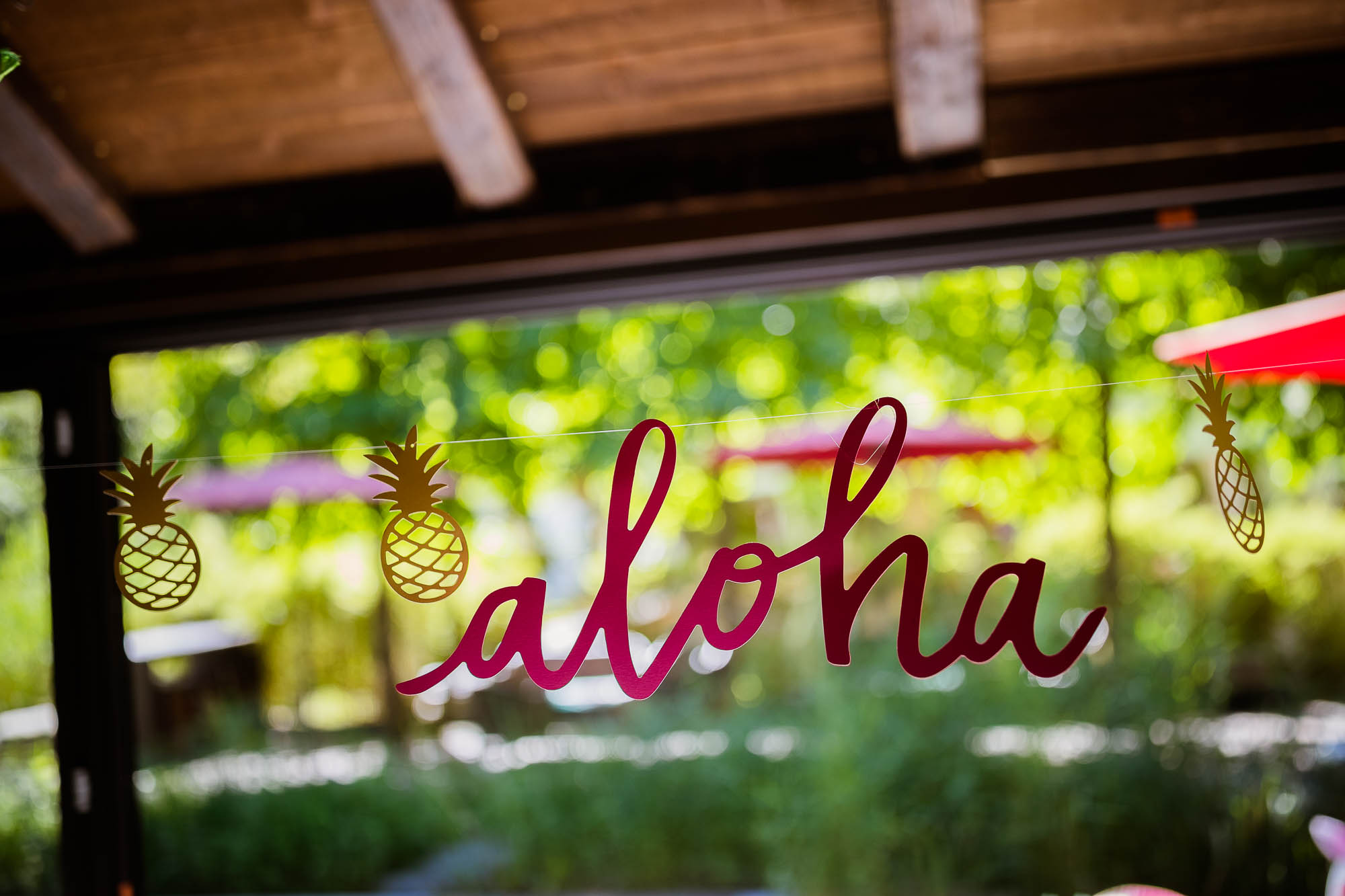 Export x3 1DX20148 Party