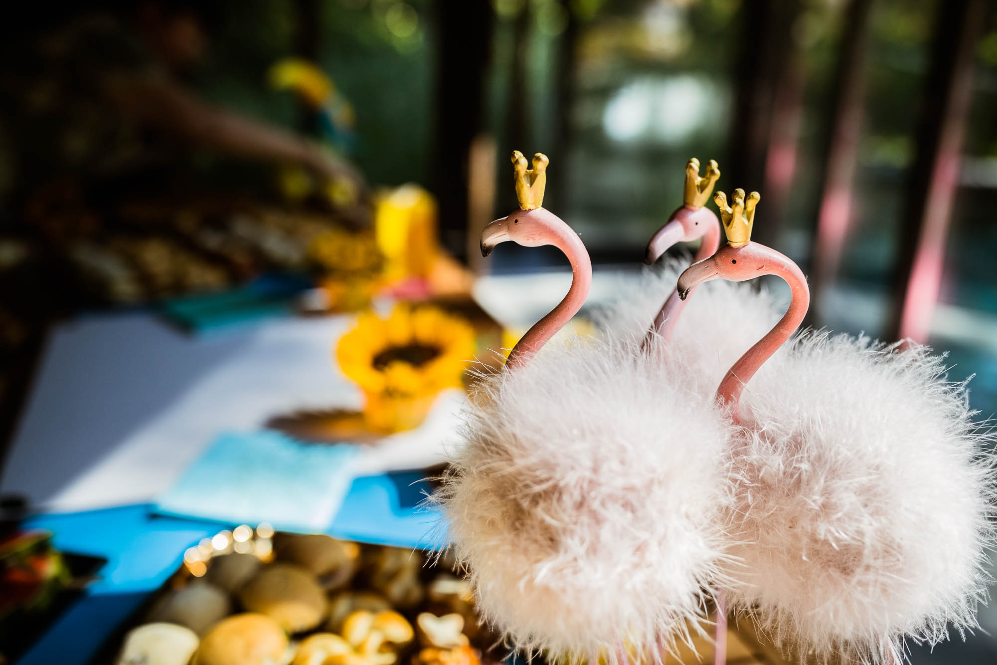 Export x3 1DX20151 Party