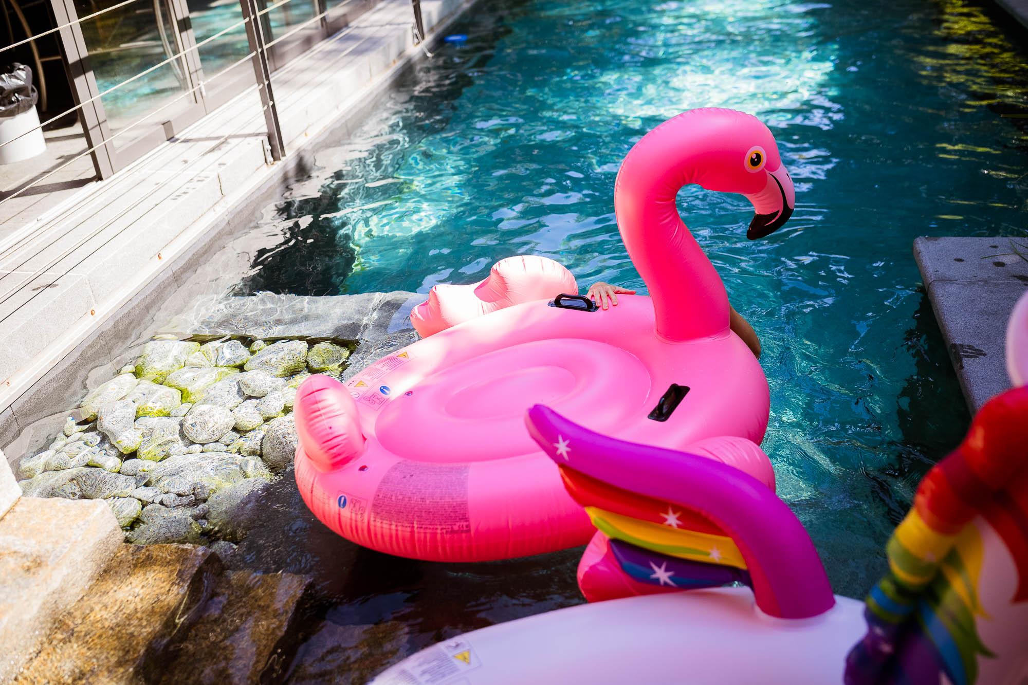 Export x3 1DX20152 Party