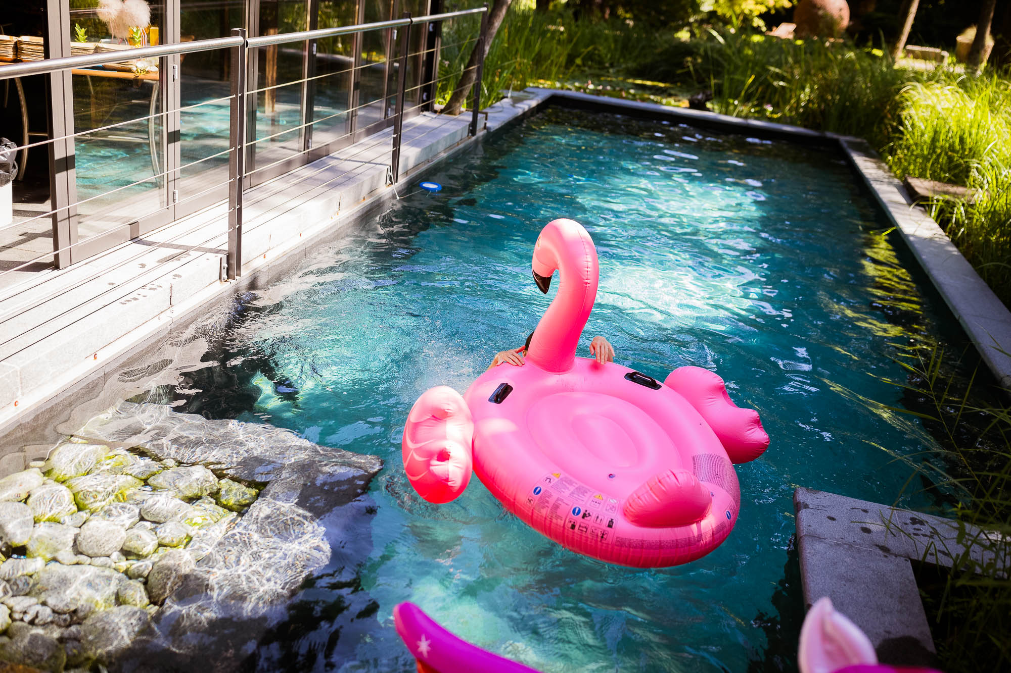 Export x3 1DX20153 Party