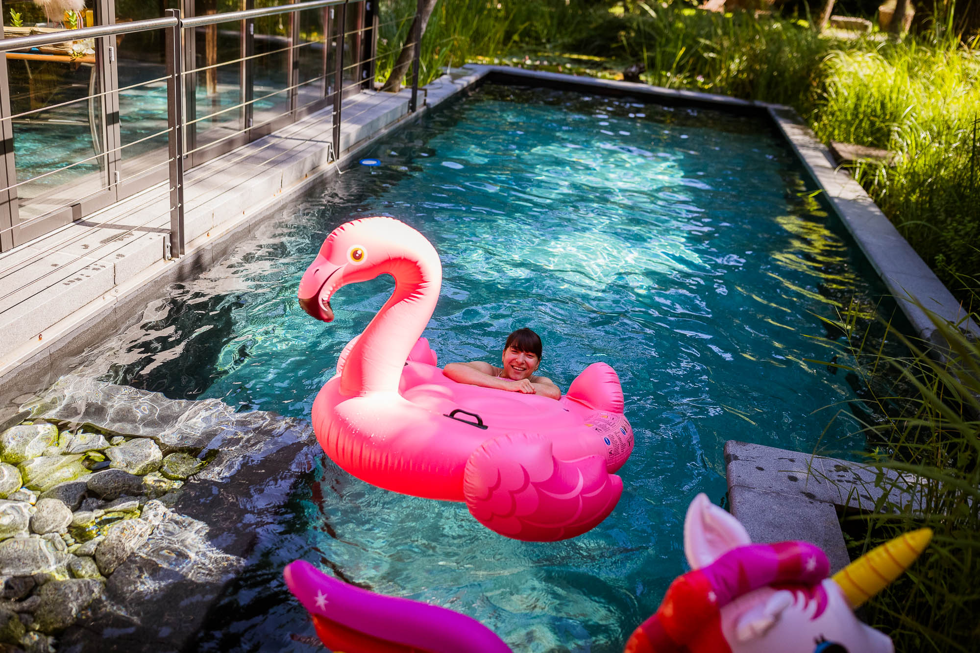 Export x3 1DX20154 Party