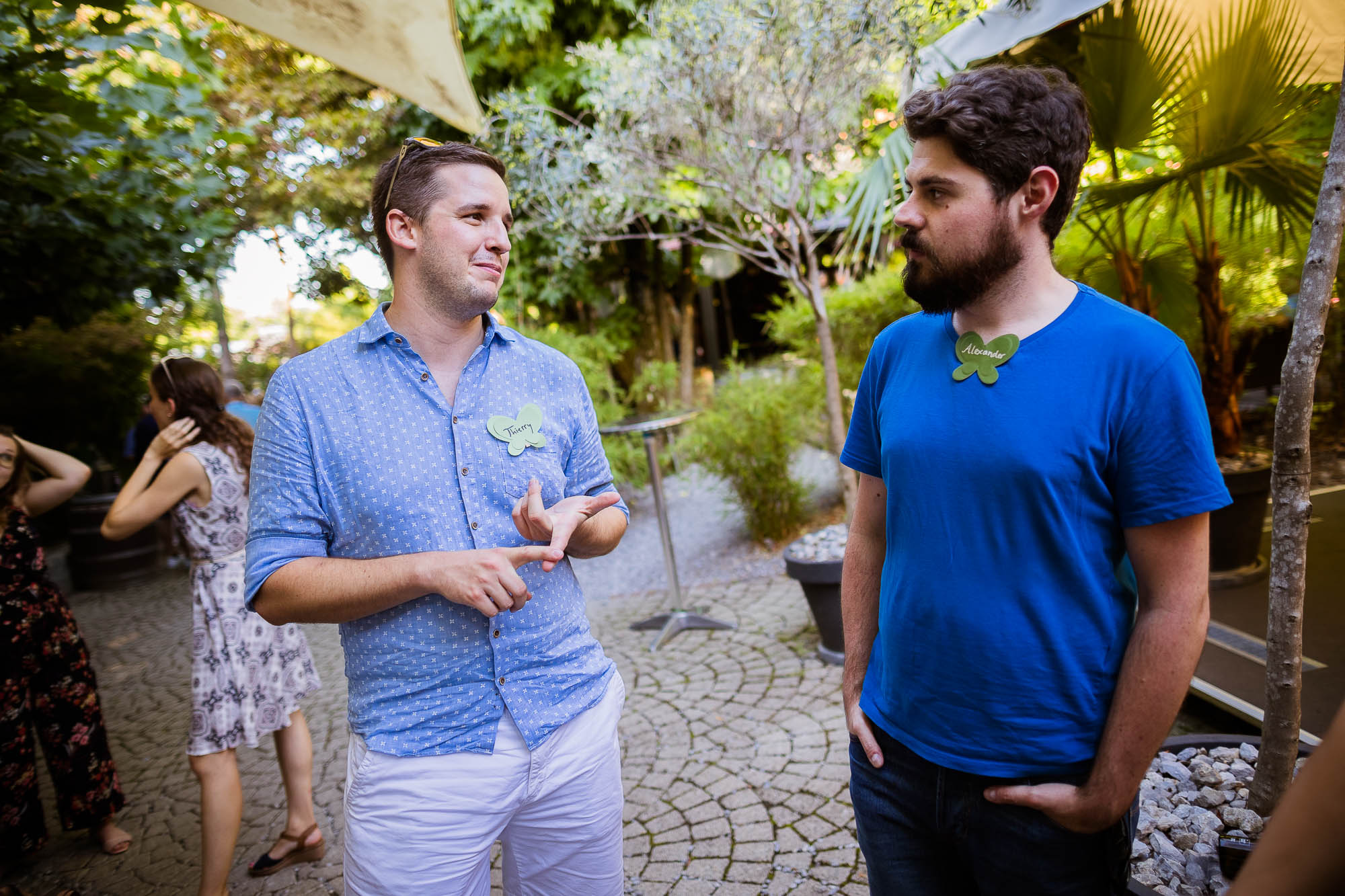 Export x3 1DX20215 Party