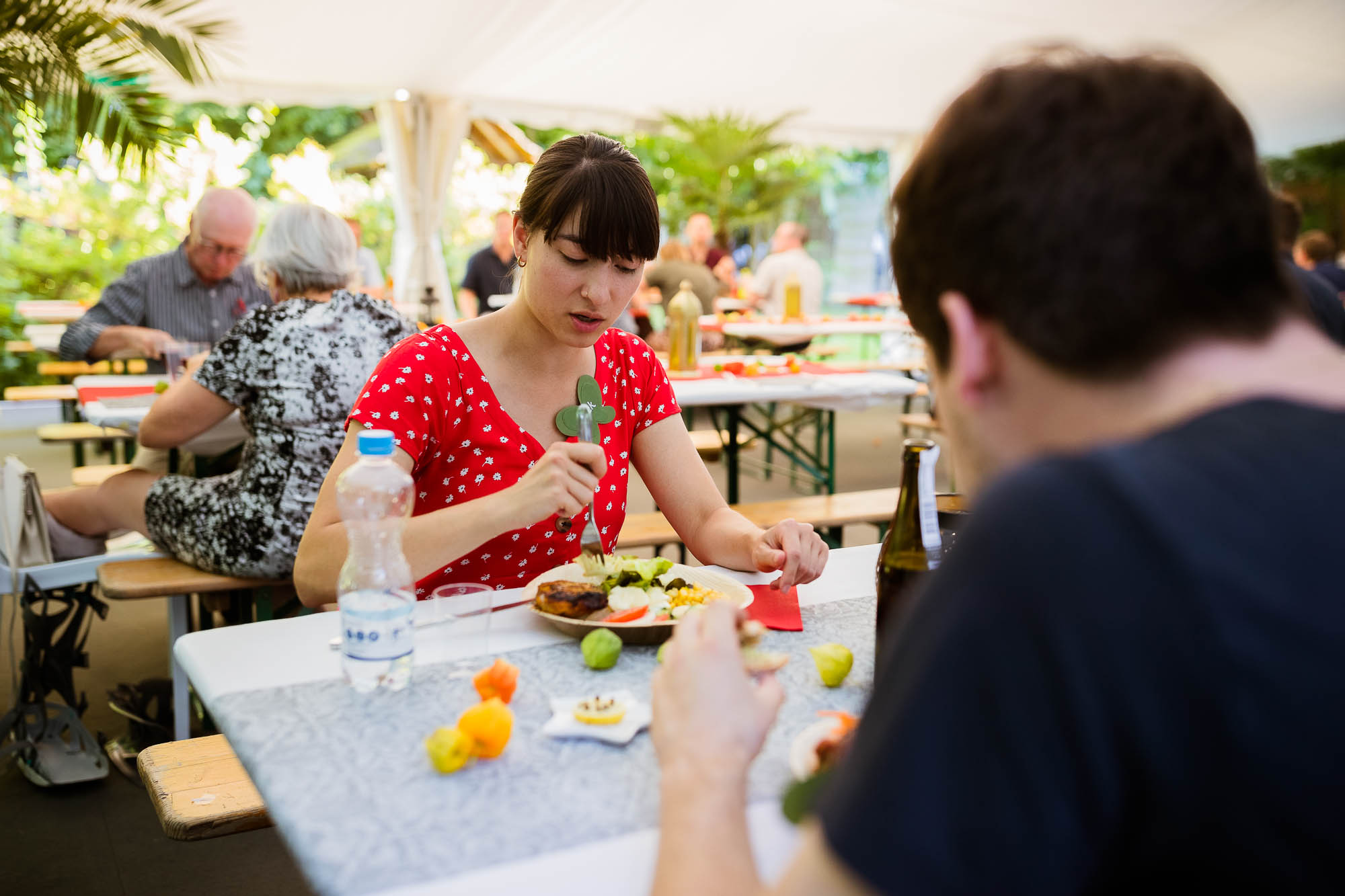 Export x3 1DX20247 Party