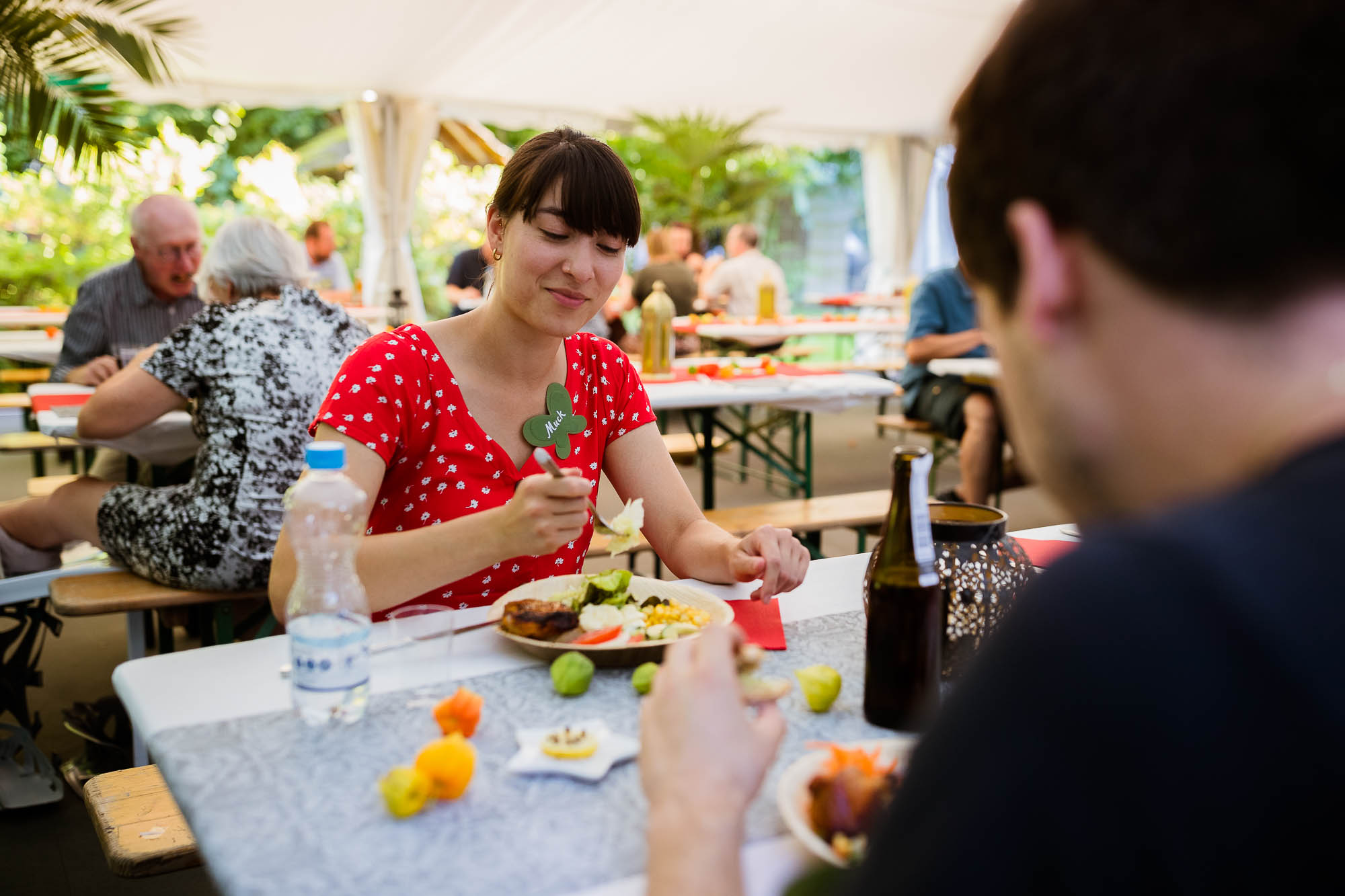 Export x3 1DX20248 Party