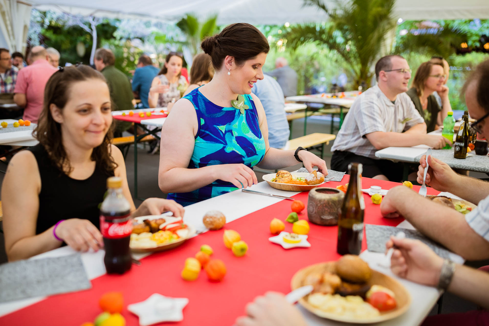 Export x3 1DX20257 Party