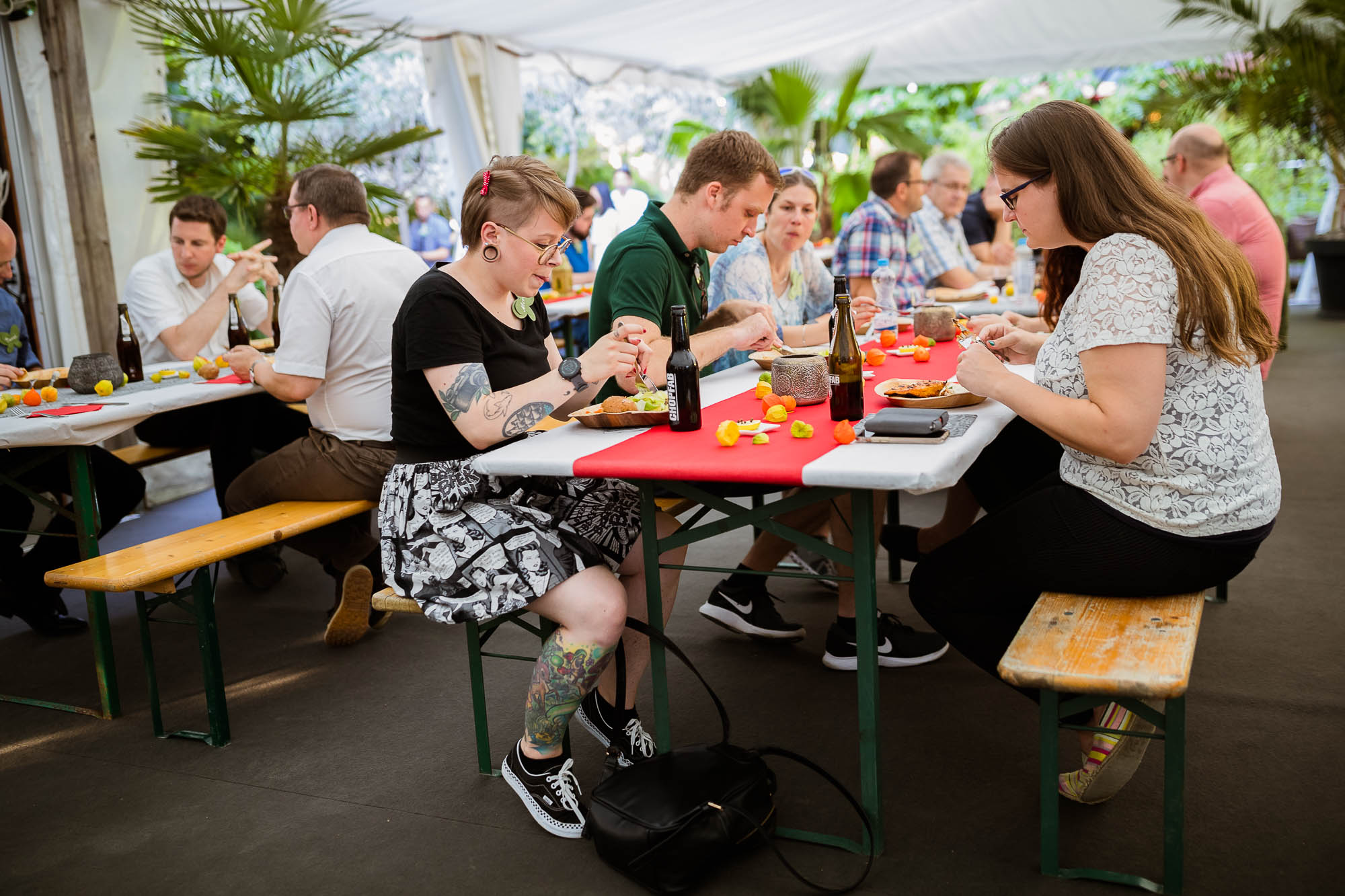 Export x3 1DX20259 Party