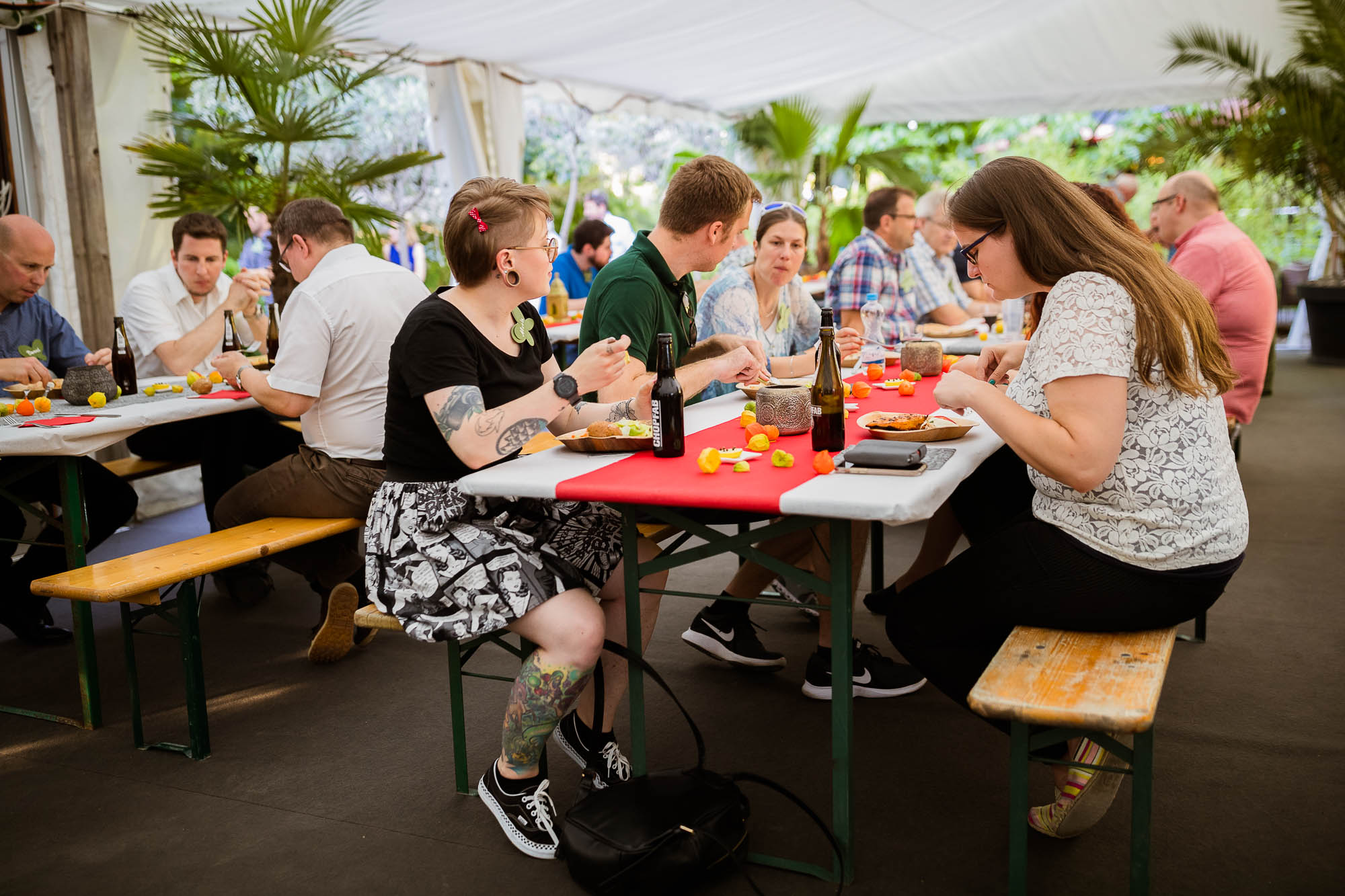 Export x3 1DX20260 Party