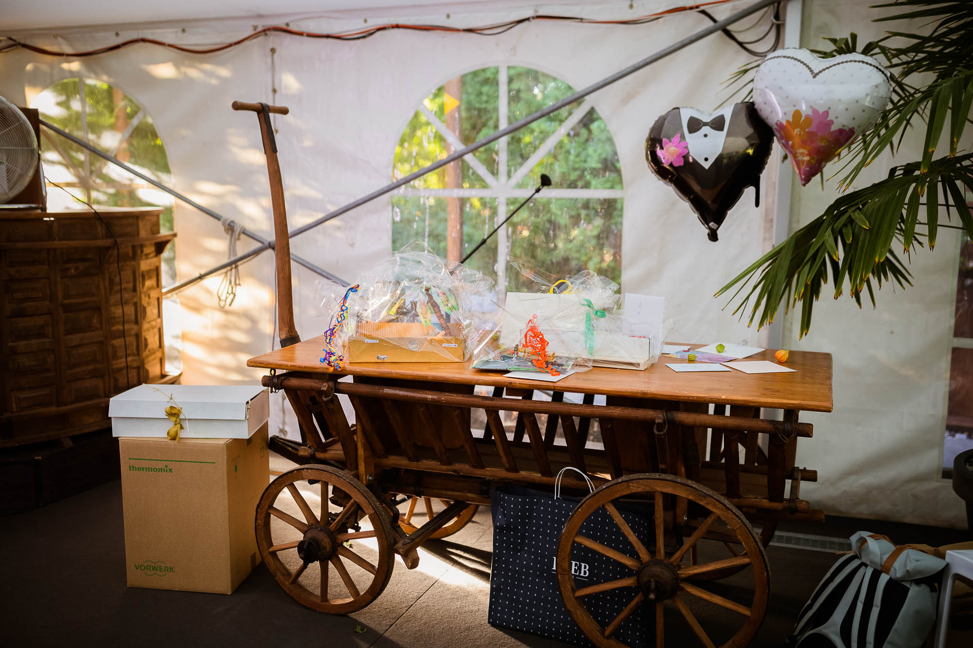 Export x3 1DX20266 Party