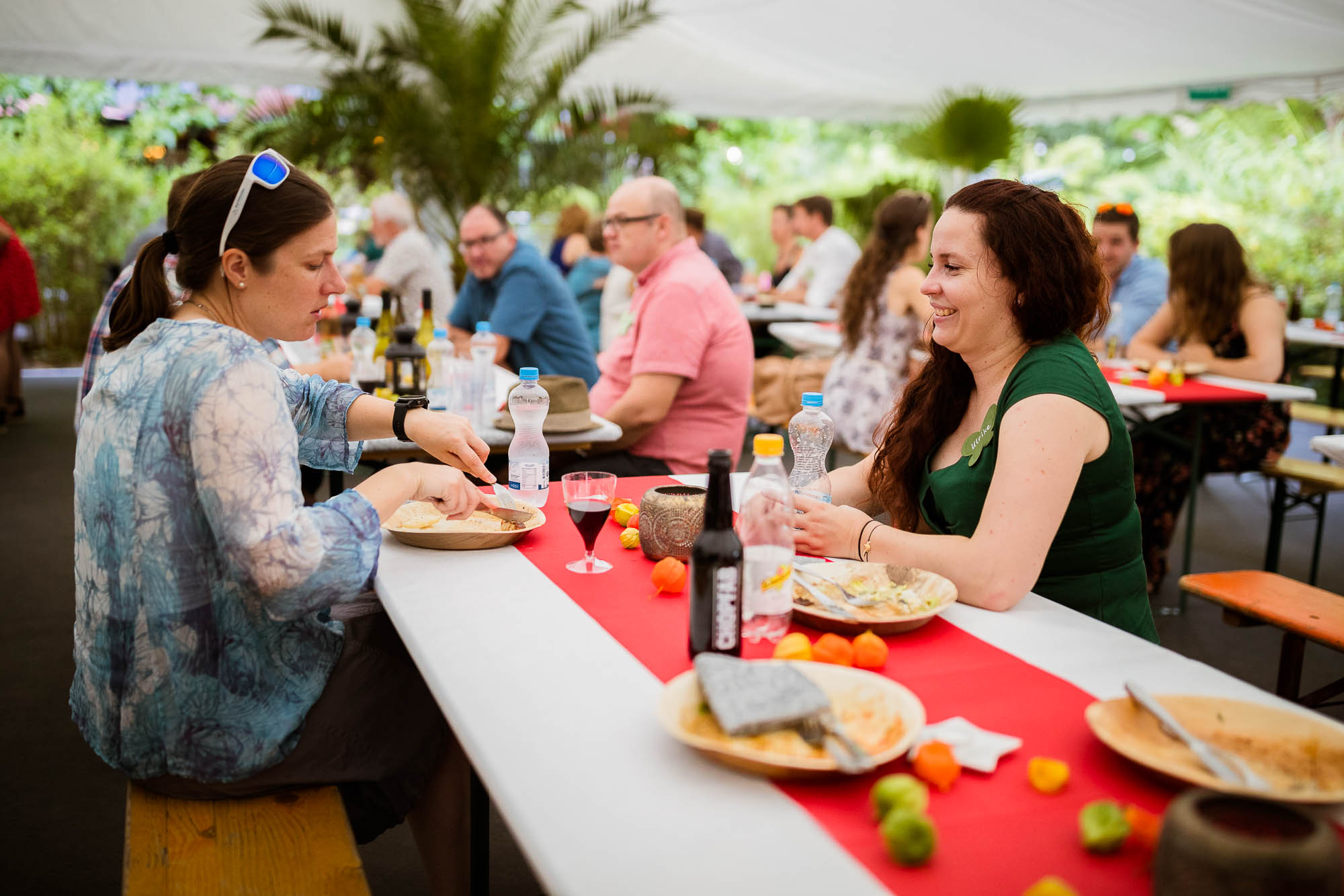 Export x3 1DX20287 Party