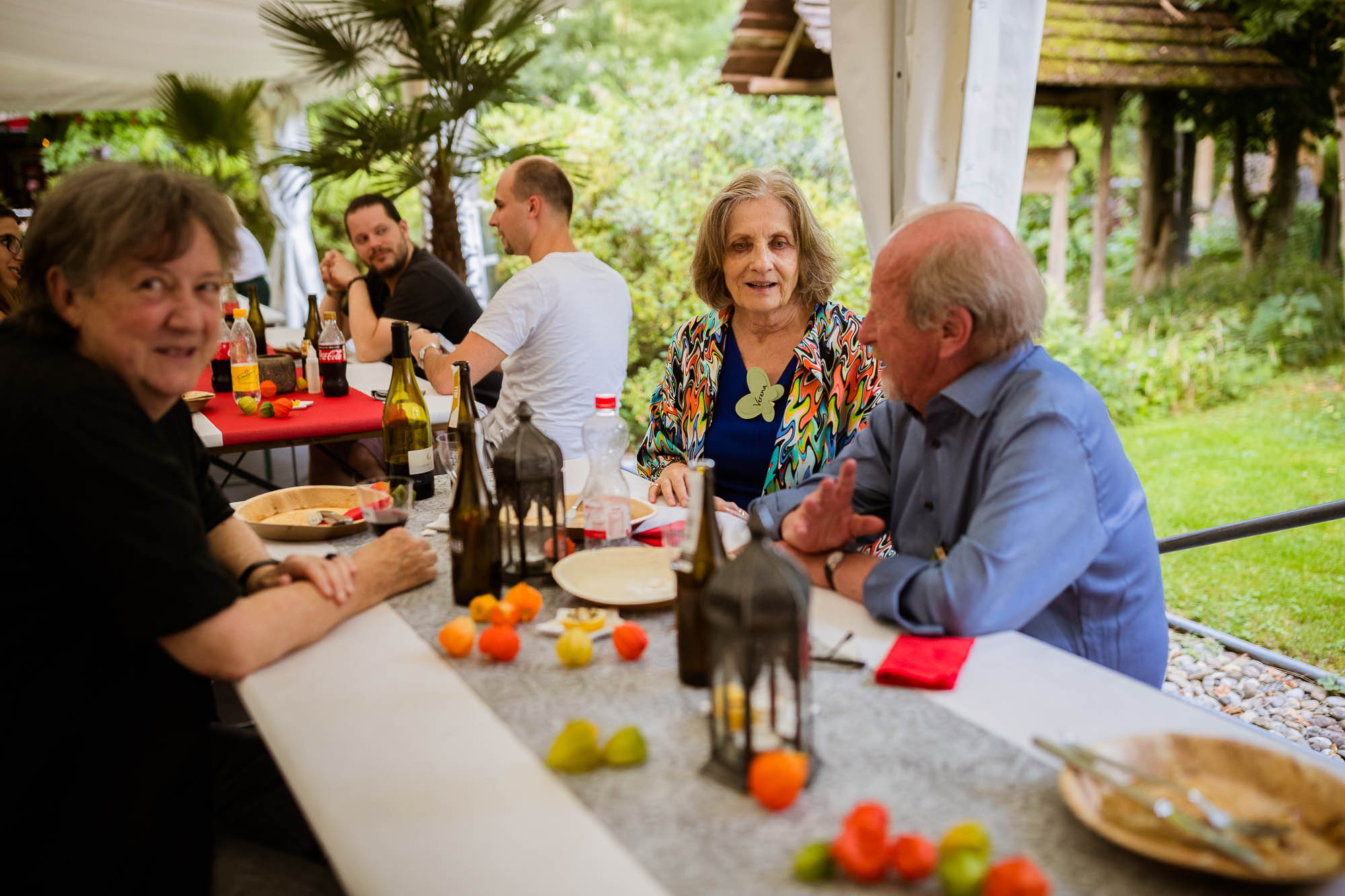 Export x3 1DX20314 Party