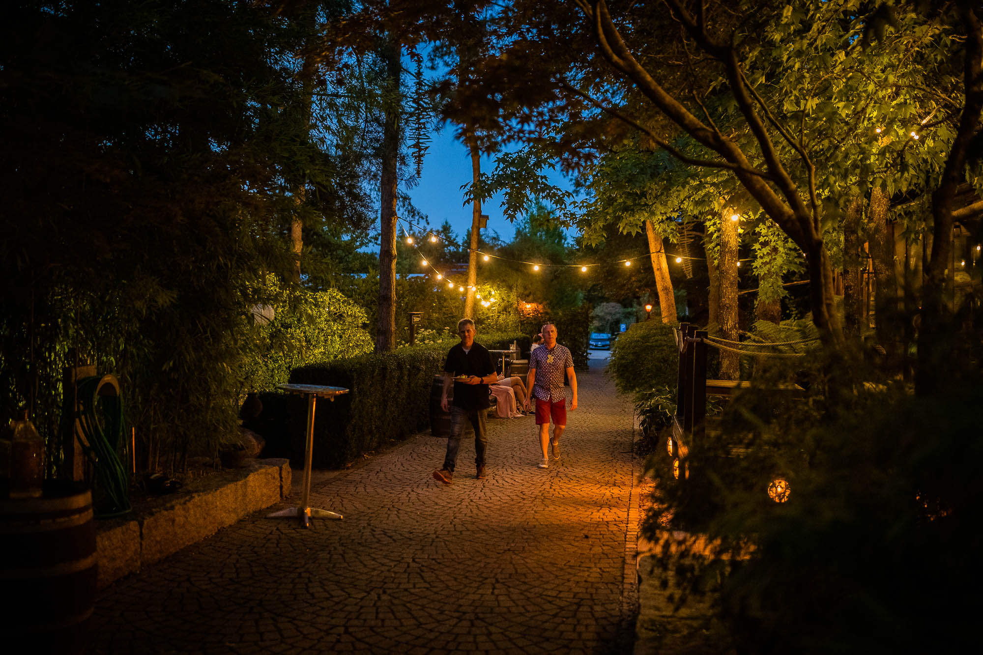 Export x3 1DX20339 Party